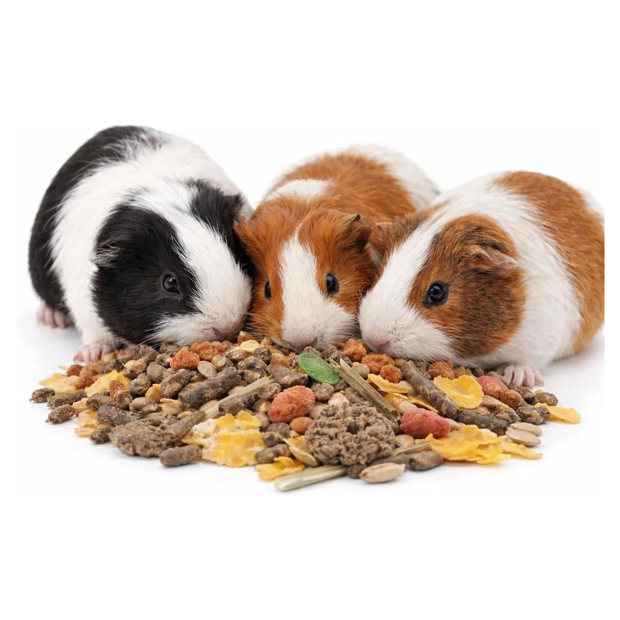 Versele-Laga Crispy Muesli Guinea Pig Kobay Kemirgen Yemi 850 G — Yemler, 900 g — Görsel 3