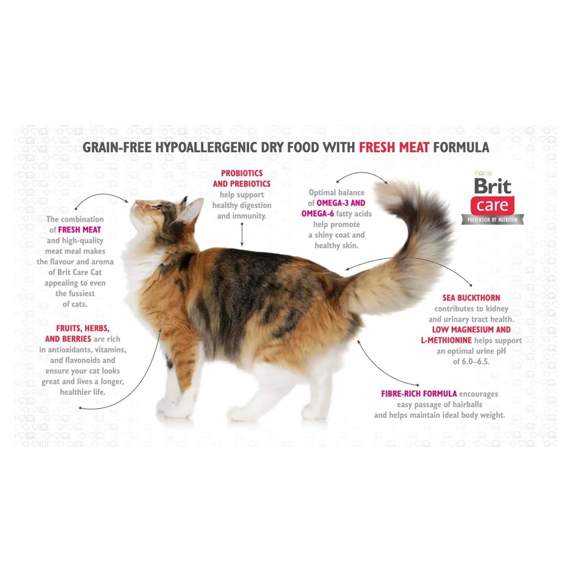 Brit Care Grain-Free Kitten Healthy Growth Taze Tavuk ve Hindi Yavru Kedi Maması 2 KG — Normal, 2 kg — Görsel 4