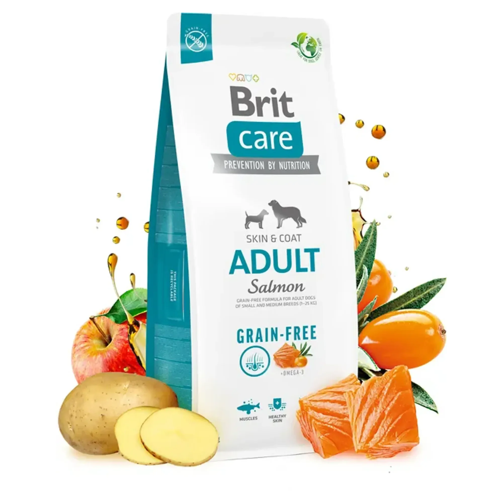 Brit Care Brit Care Grain Free Adult Somonlu Yetişkin Köpek Maması 3 KG