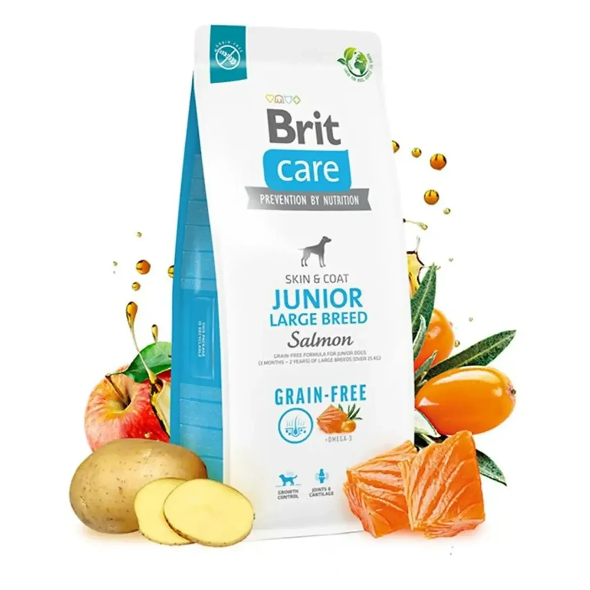 Brit Care Brit Care Grain Free Somonlu Büyük Irk Yavru Köpek Maması 12 KG