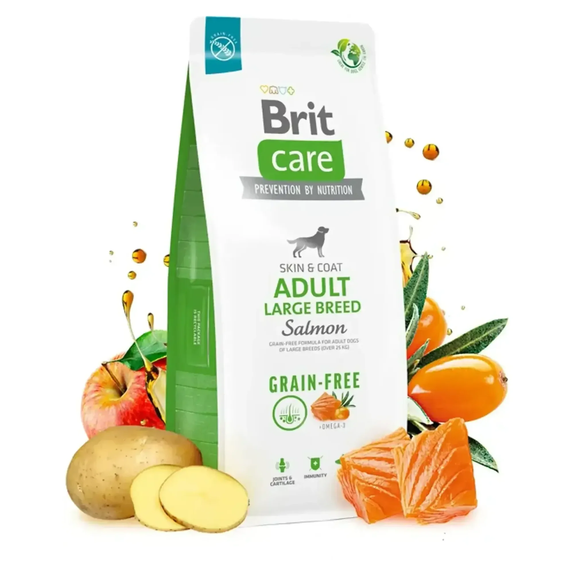 Brit Care Brit Care Skin & Coat Tahılsız Somonlu Büyük Irk Yetişkin Köpek Maması 12  KG