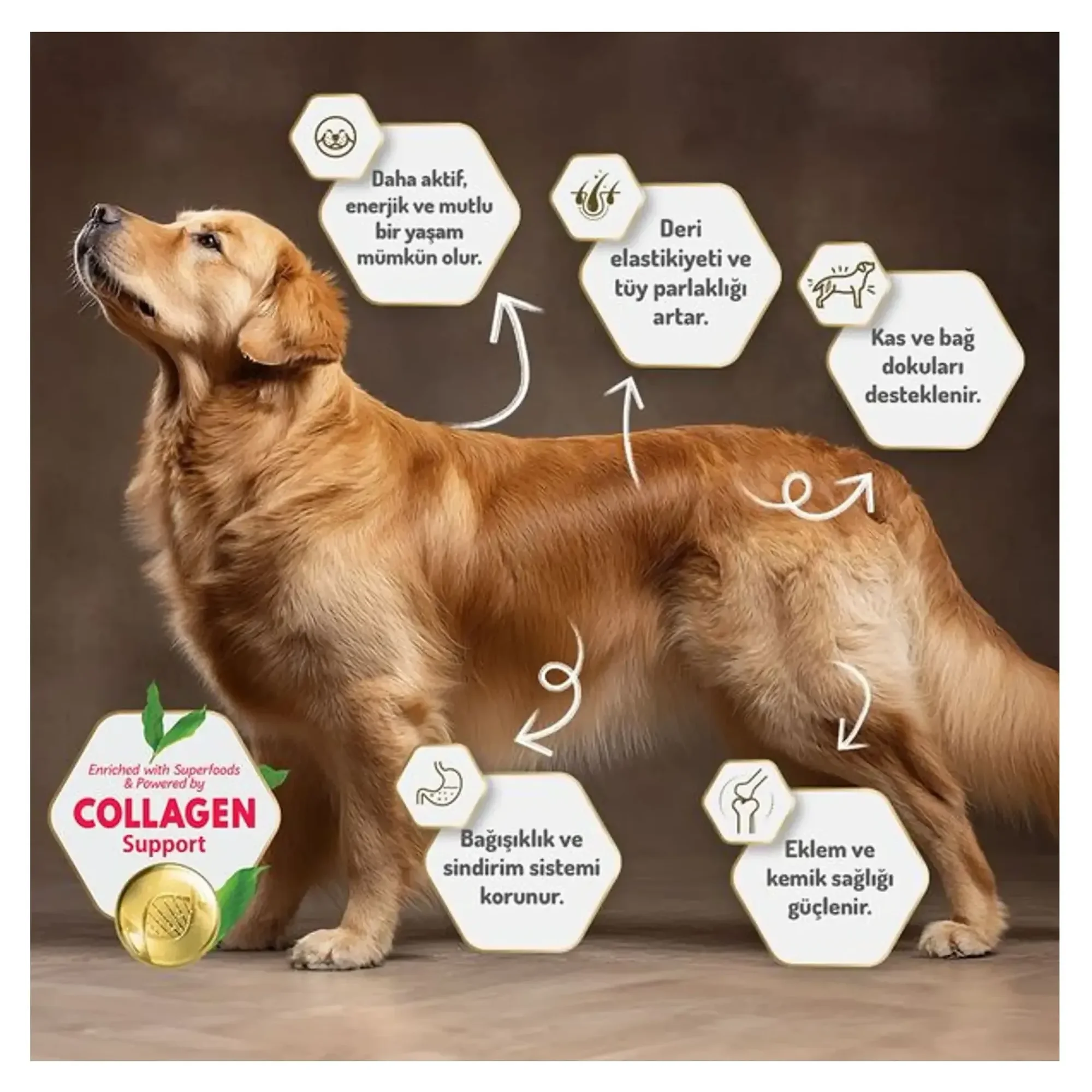 Felicia Felicia Kuzulu Az Tahıllı Kolajenli Yavru Köpek Maması 3 KG — Normal, 3 kg — Görsel 6