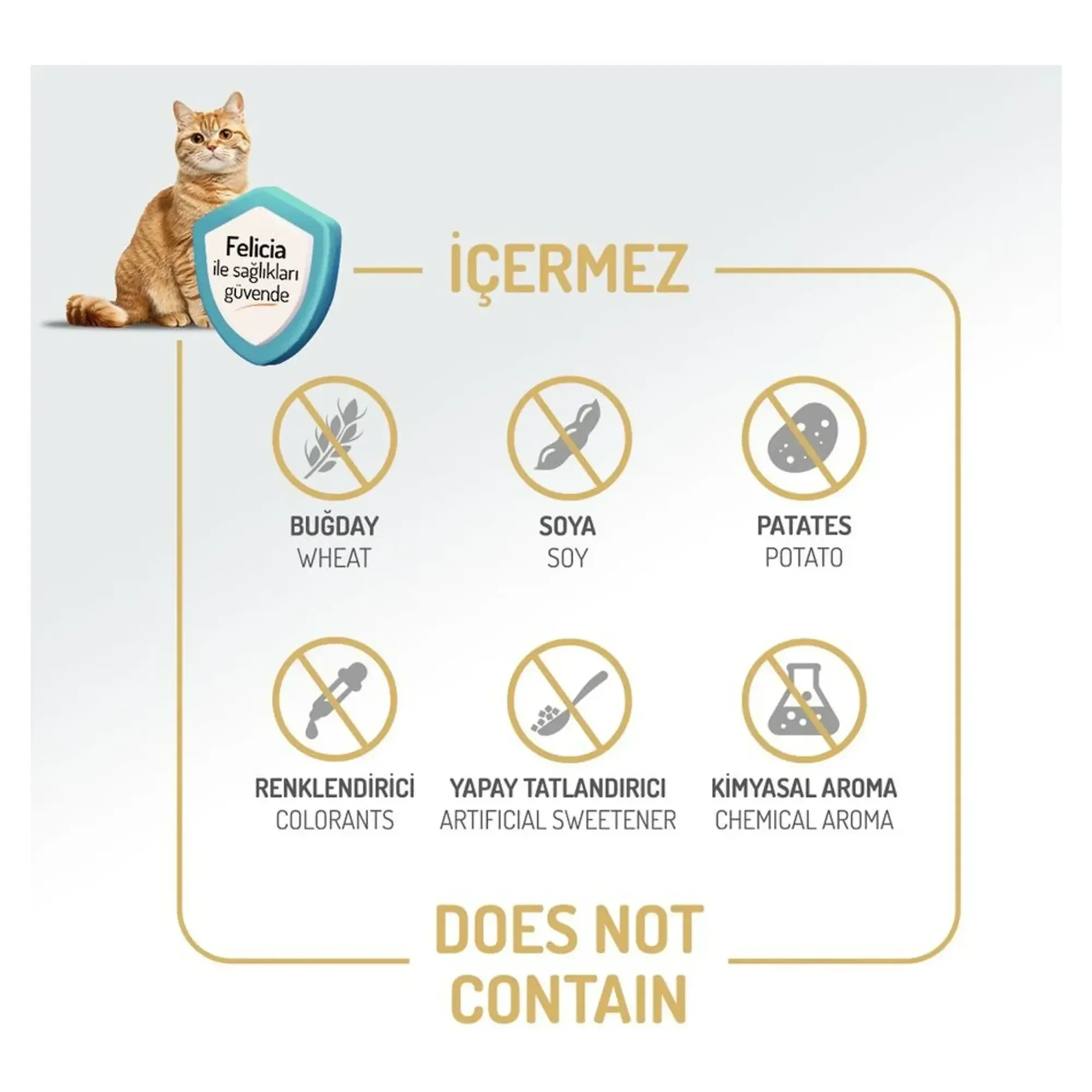 Felicia Felicia Kolajenli Somonlu Az Tahıllı Yetişkin Kedi Maması 2 KG — Normal, 2.1 kg — Görsel 5