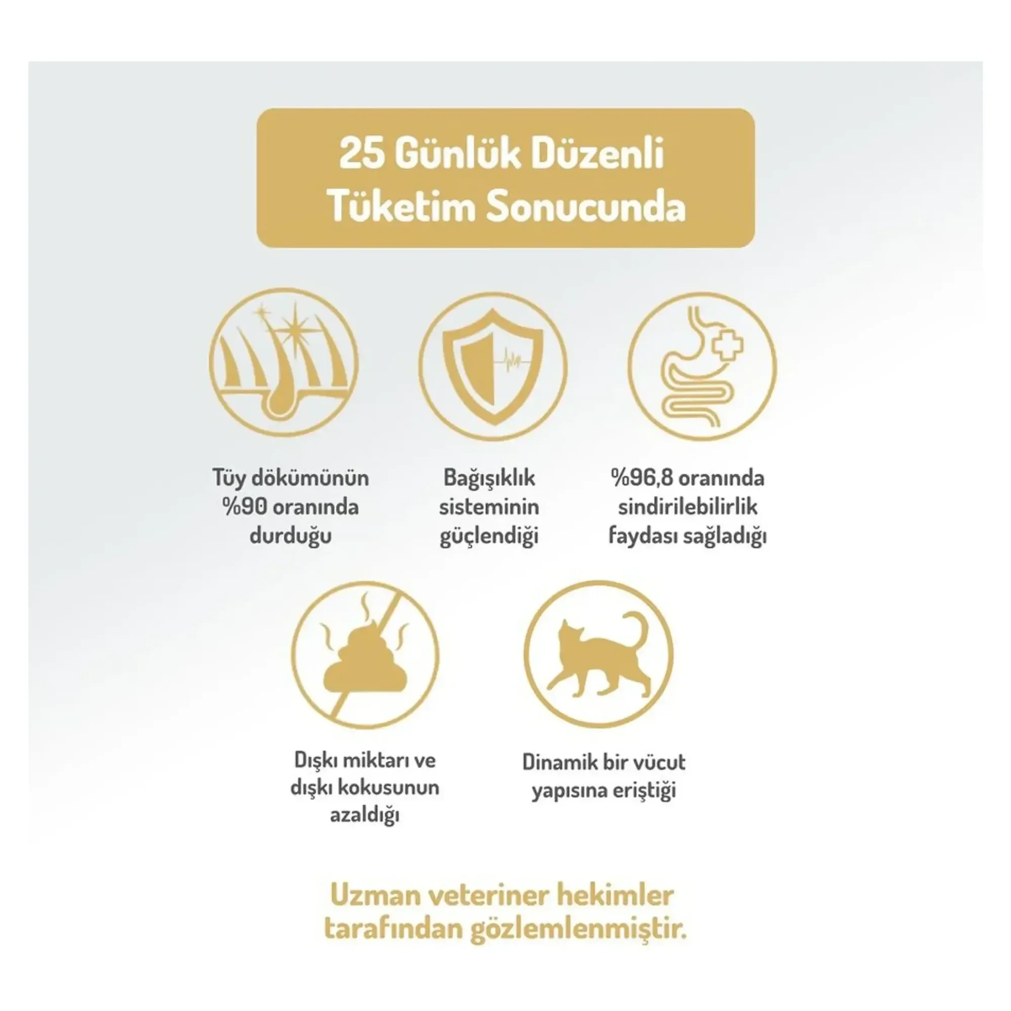 Felicia Felicia Somonlu Az Tahıllı Yetişkin Kedi Maması 12 KG — Normal, 12.3 kg — Görsel 5