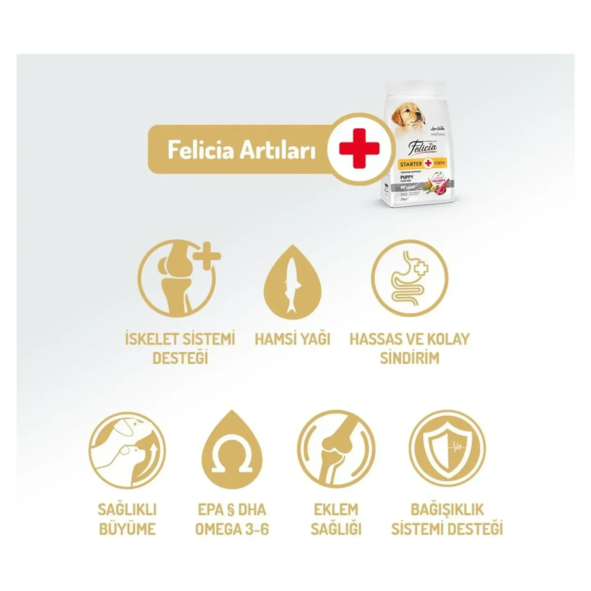 Felicia Felicia Starter Care Az Tahıllı Kuzu Etli Küçük ve Mini Irk Yavru Köpek Maması 2x3KG — Normal, 6 kg — Görsel 2