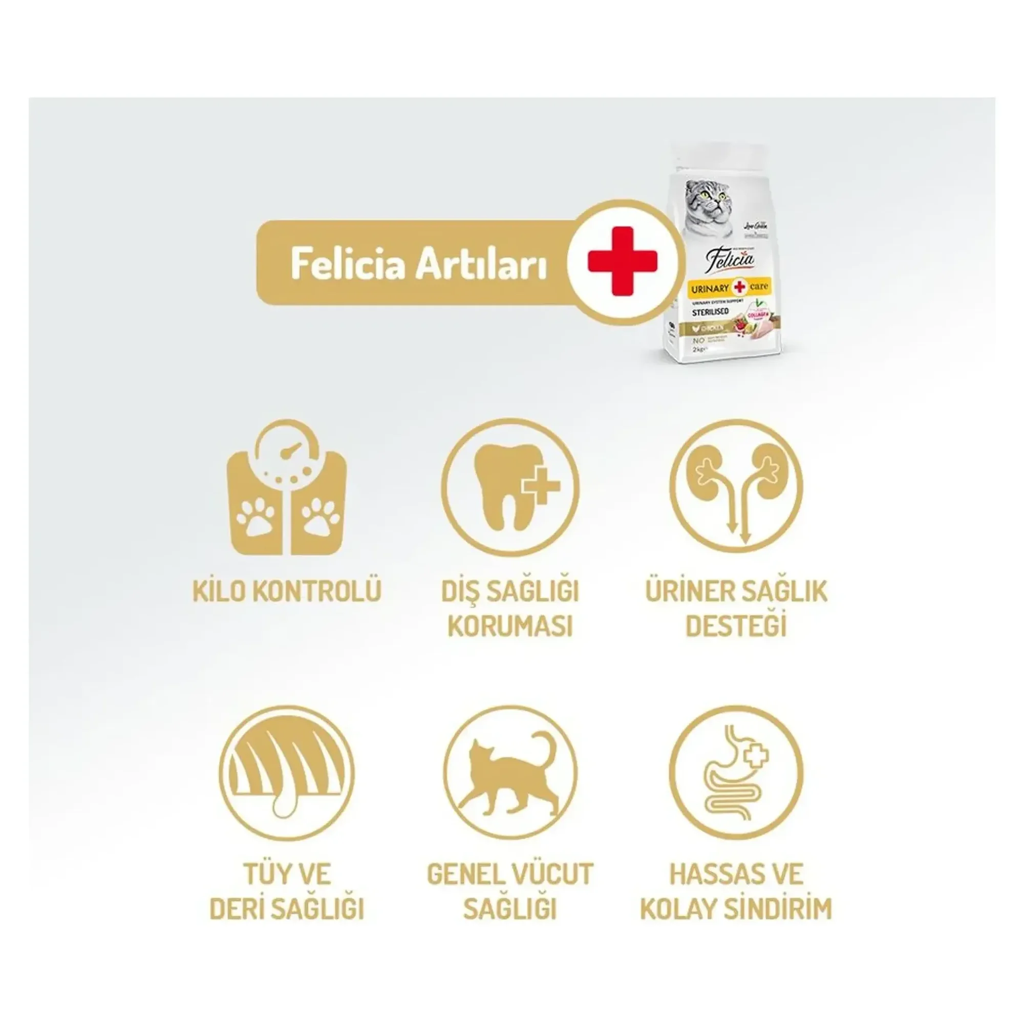 Felicia Felicia Urinary Care Az Tahıllı Tavuklu Kısırlaştırılmış Yetişkin Kedi Maması 12 KG — 12.1 kg — Görsel 2