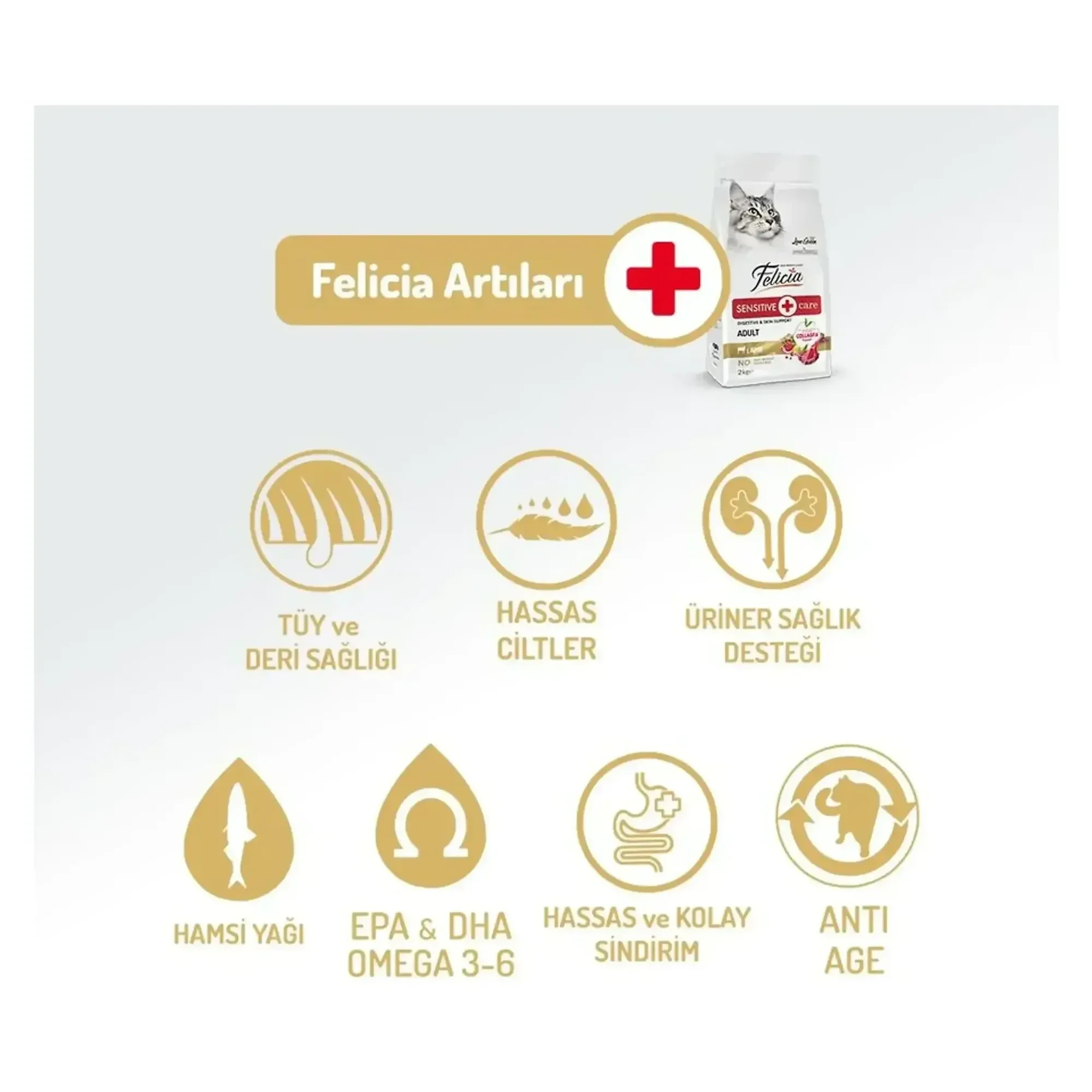Felicia Felicia Sensitive Care Az Tahıllı Kuzu Etli Yetişkin Kedi Maması 2 KG — Normal, 2 kg — Görsel 3