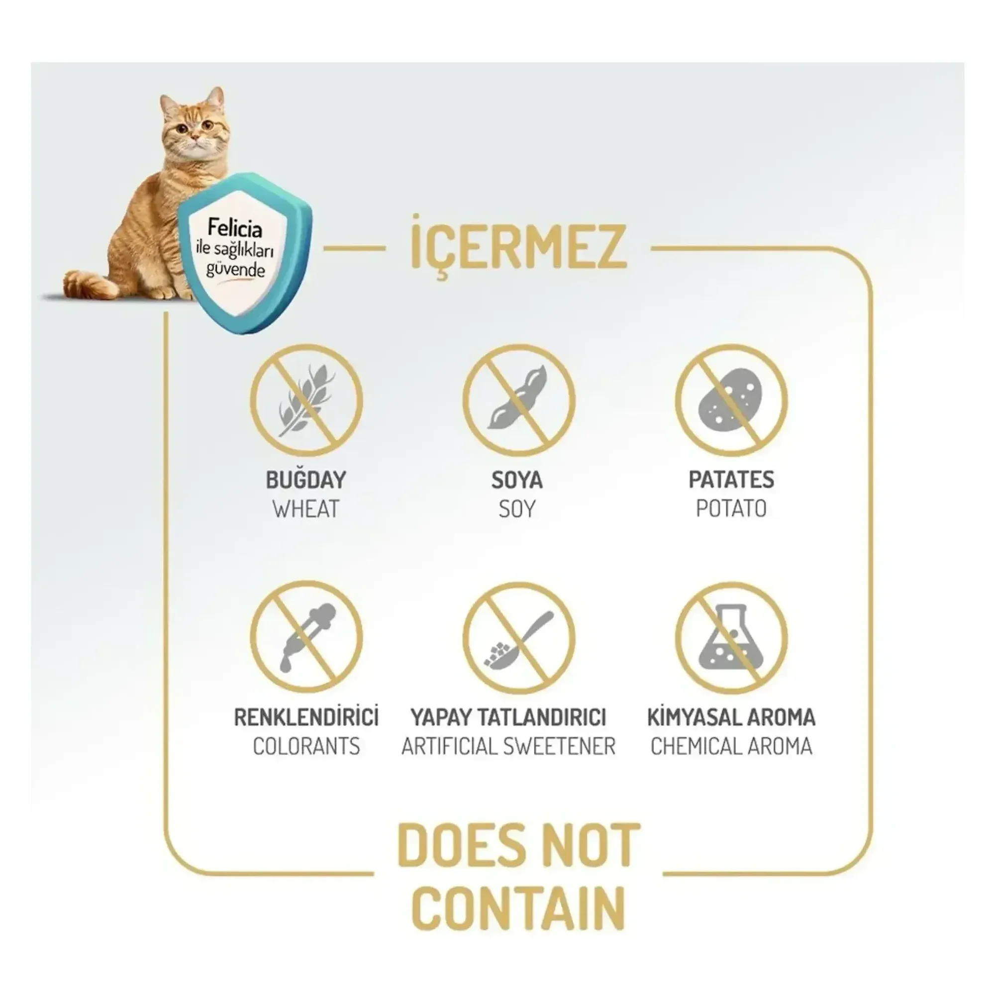 Felicia Felicia Sensitive Care Az Tahıllı Kuzu Etli Yetişkin Kedi Maması 2 KG — Normal, 2 kg — Görsel 5