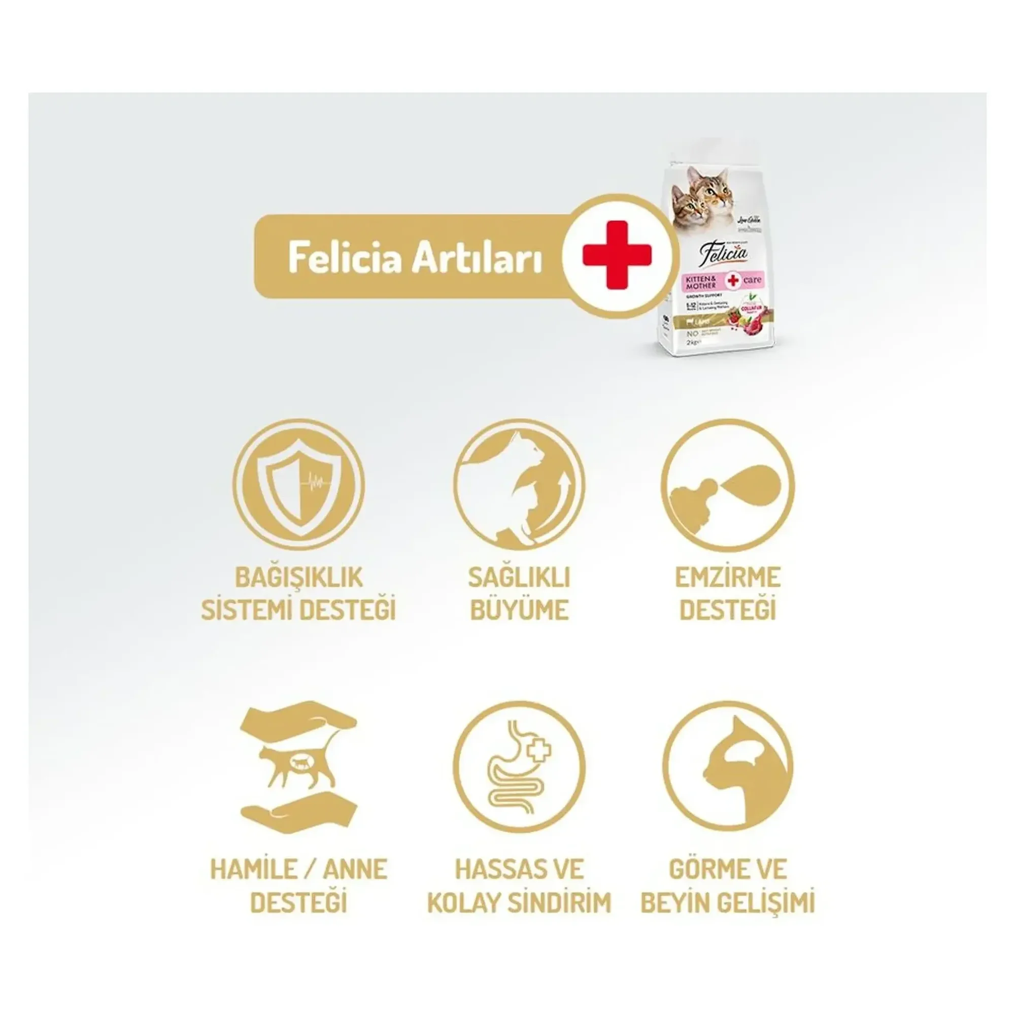 Felicia Felicia Kitten&Mother Care Az Tahıllı Kuzu Etli Yavru ve Anne Kedi Maması 2 KG — Normal, 2.1 kg — Görsel 6