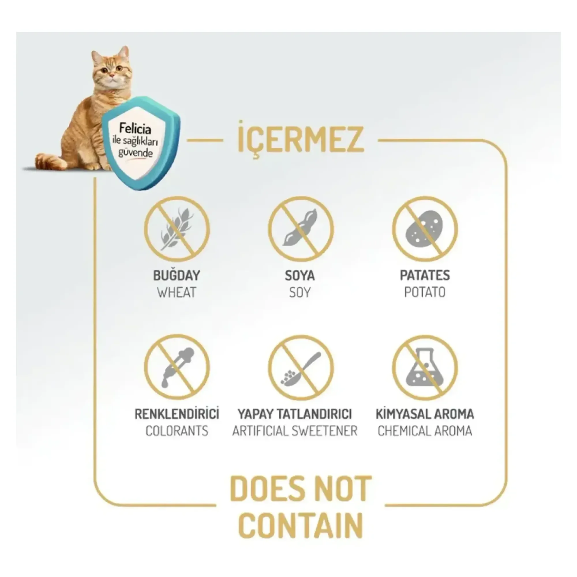 Felicia Felicia Urinary Care Kolajen Destekli Az Tahıllı Somonlu Kısırlaştırılmış Yetişkin Kedi Maması 5 KG — 5 kg — Görsel 5
