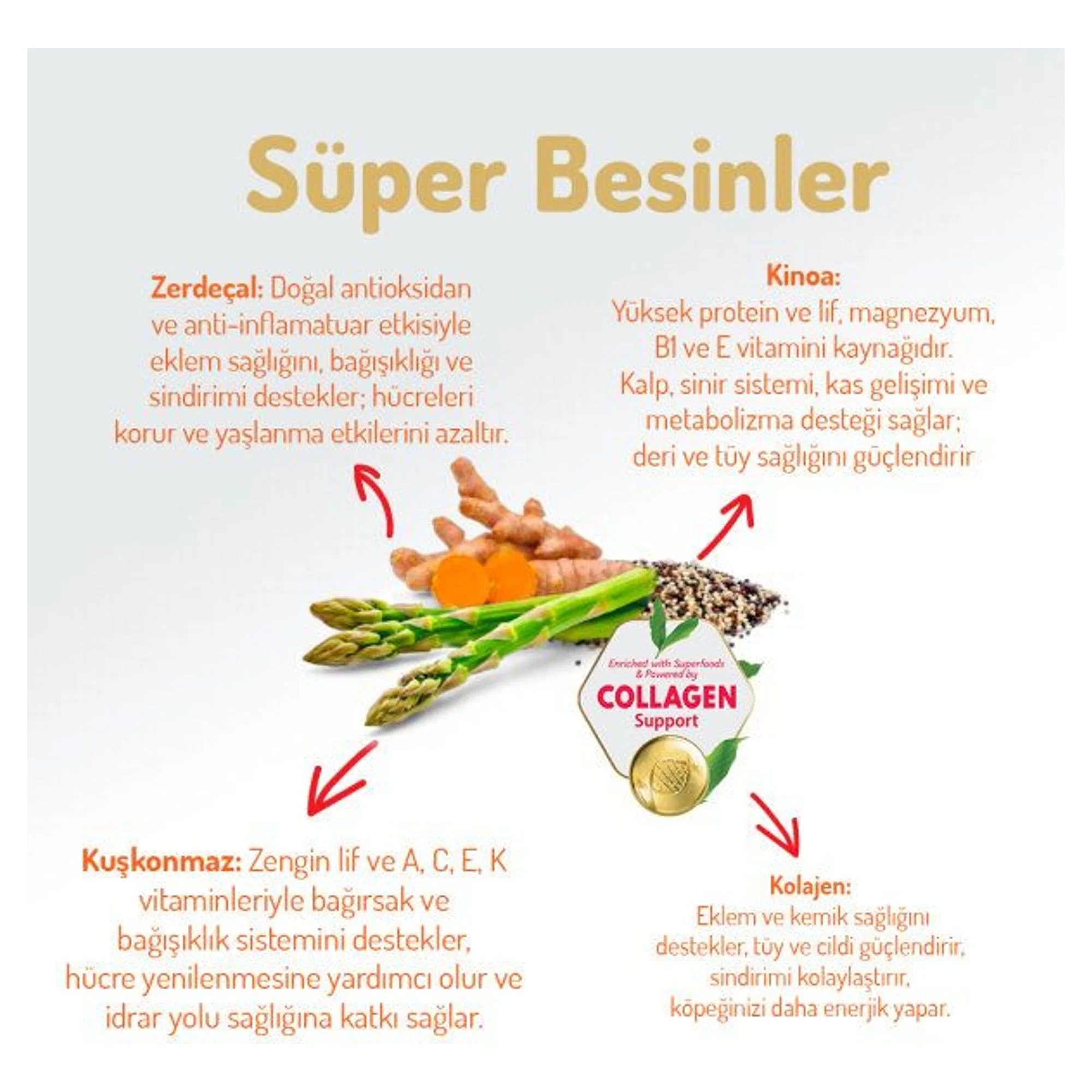 Felicia Felicia Digest Care Kolajen Destekli Az Tahıllı Kuzu Etli Büyük ve Orta Irk Yetişkin Köpek Maması 3 KG — Normal — Görsel 3