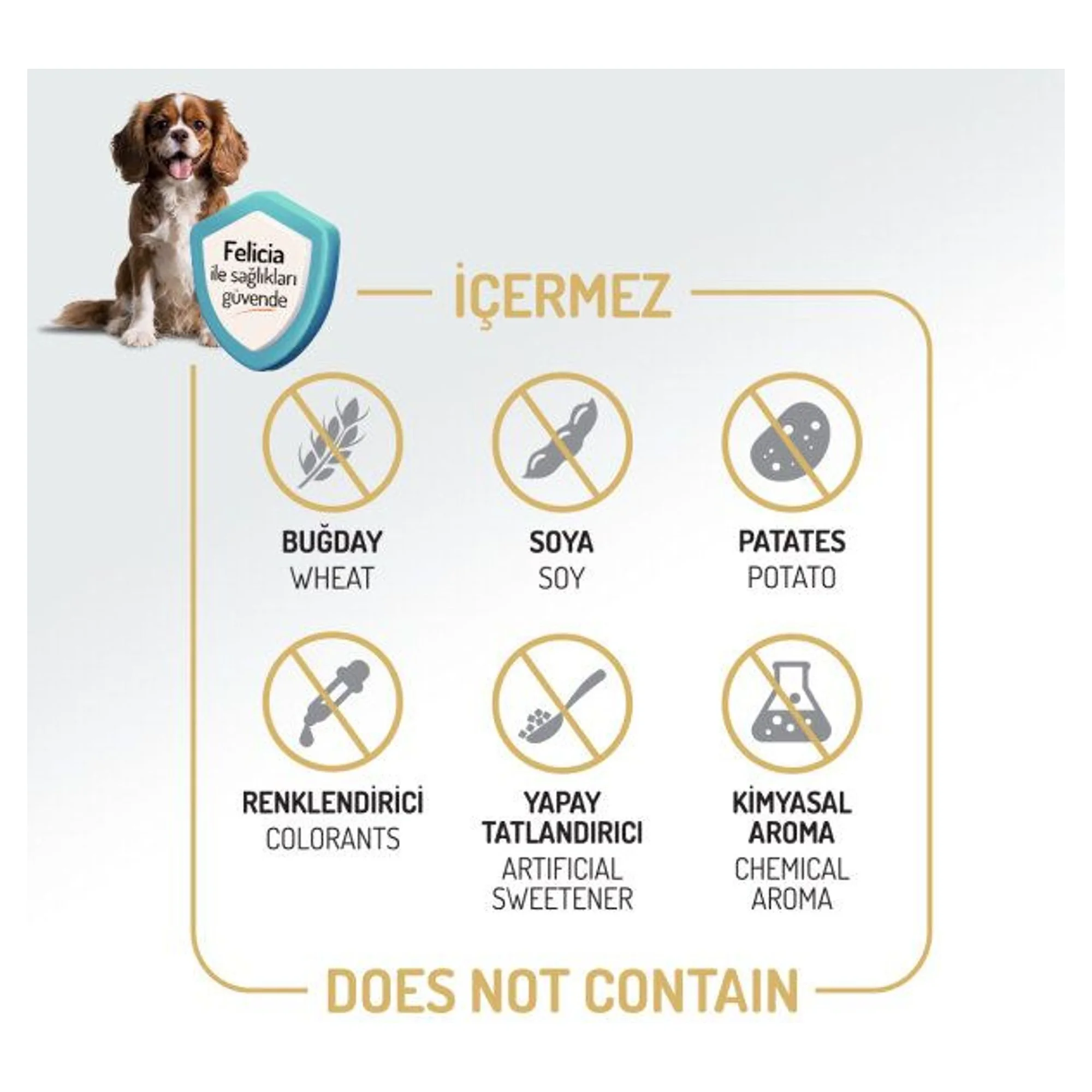 Felicia Felicia Digest Care Kolajen Destekli Az Tahıllı Kuzu Etli Büyük ve Orta Irk Yetişkin Köpek Maması 3 KG — Normal — Görsel 4