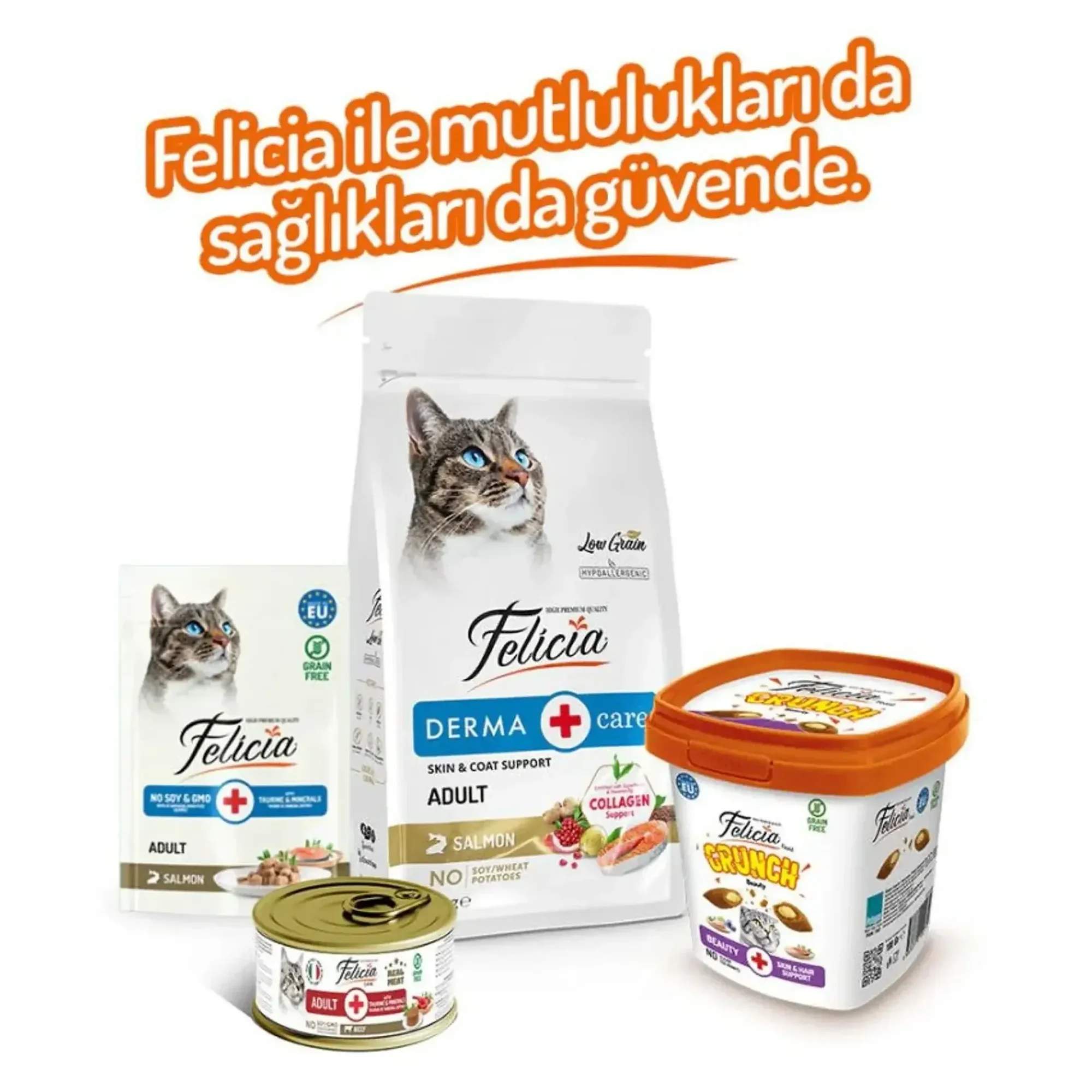 Felicia Felicia Crunch Beauty Kedi Ödül Maması 100 G — Dolgulu — Görsel 4