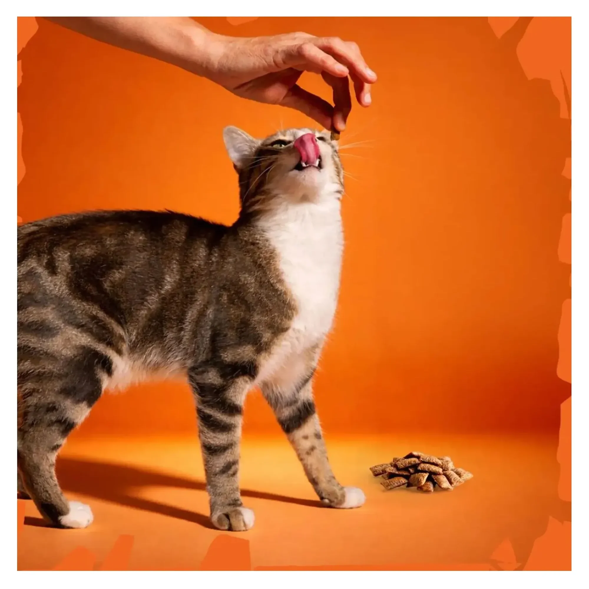 Felicia Felicia Crunch Anti Hairball Kedi Ödül Maması 100 G — Dolgulu — Görsel 5
