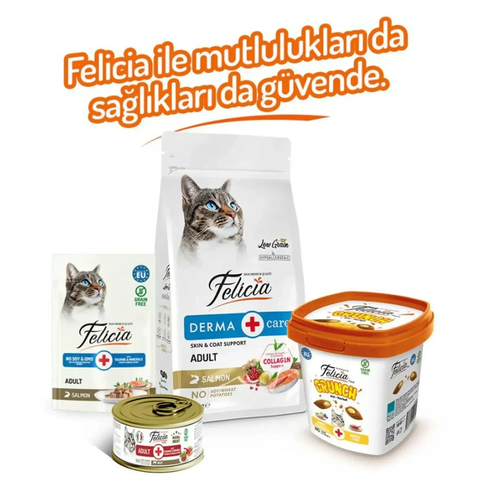 Felicia Felicia Crunch Anti Hairball Kedi Ödül Maması 100 G — Dolgulu — Görsel 6