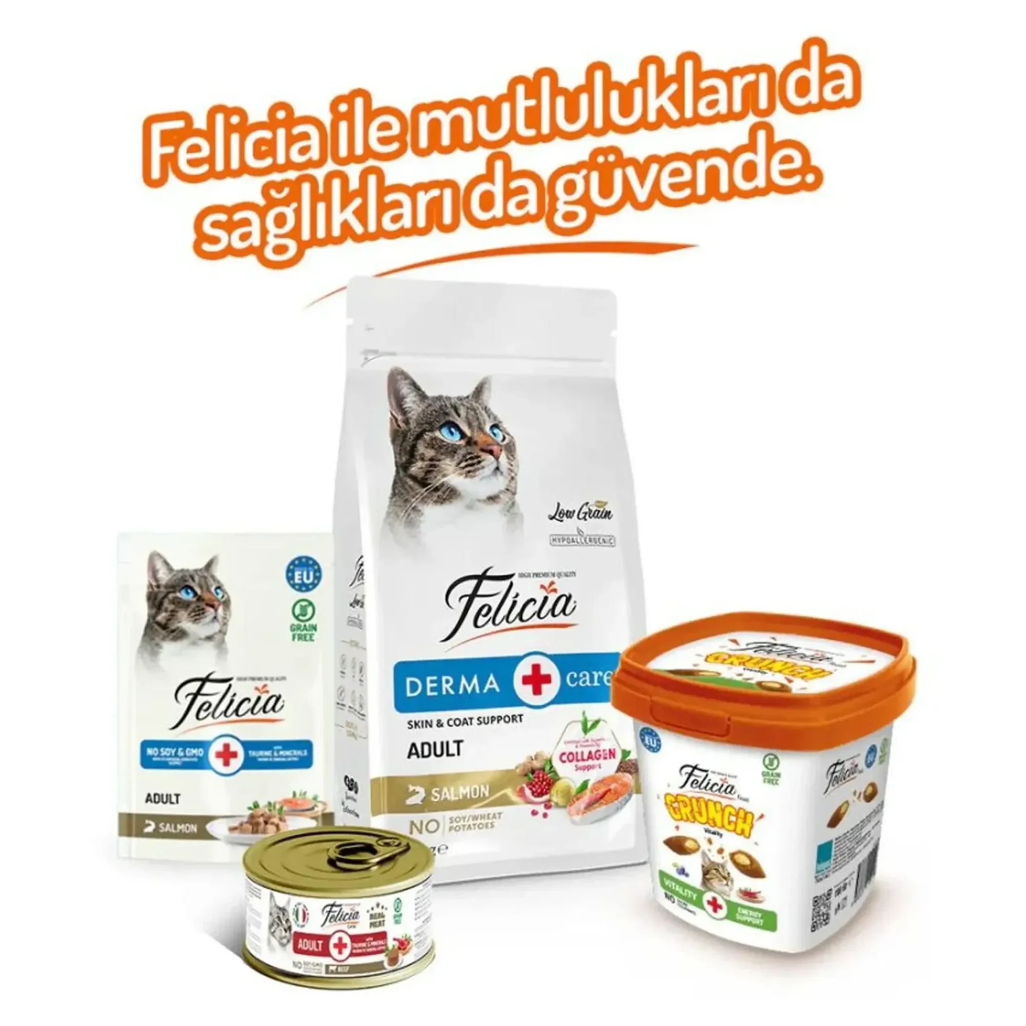 Felicia Felicia Crunch Vitality Kedi Ödül Maması 100 G — Dolgulu — Görsel 6