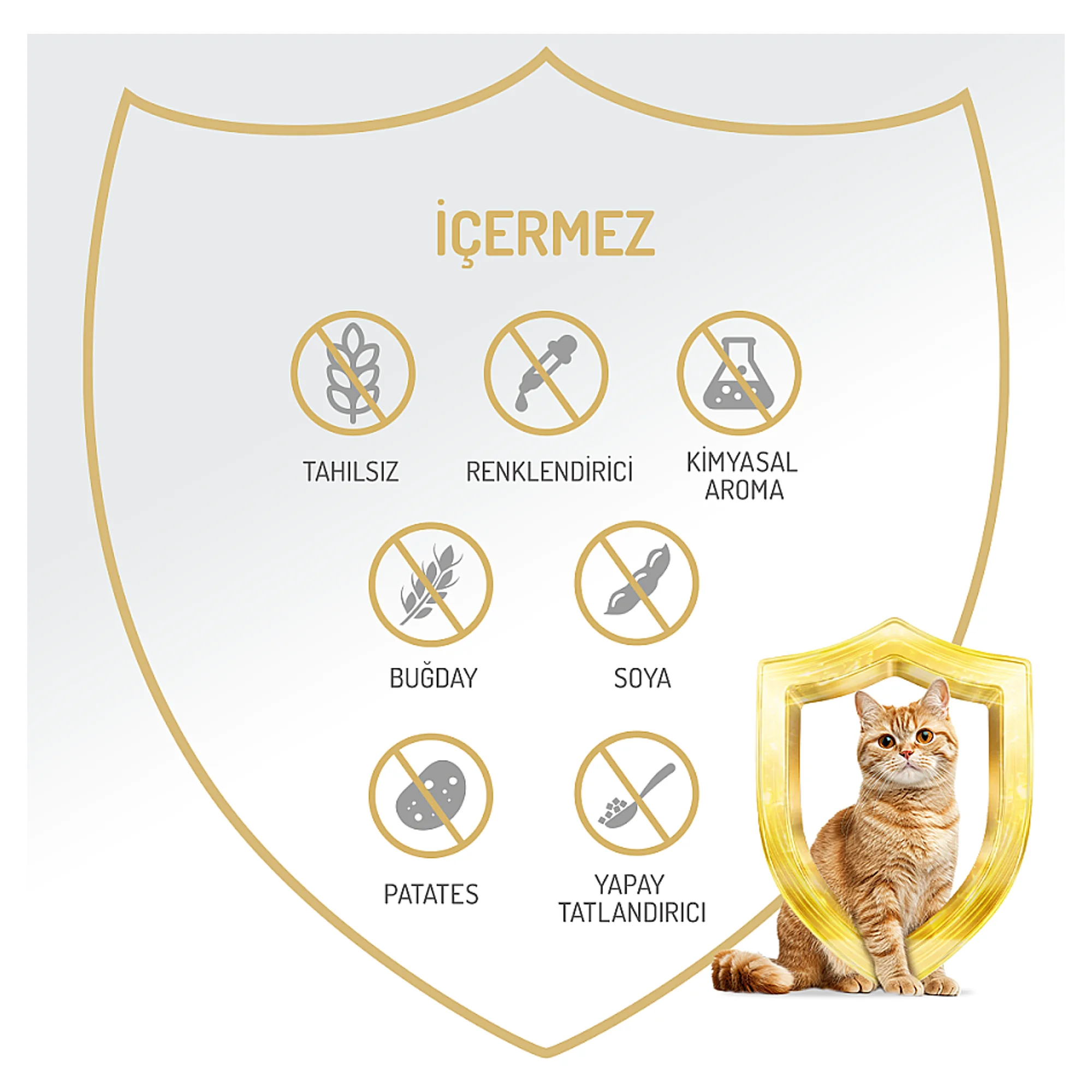 Felicia Biftekli Yetişkin Kedi Yaş Mama 400 G — Normal, 420 g — Görsel 4