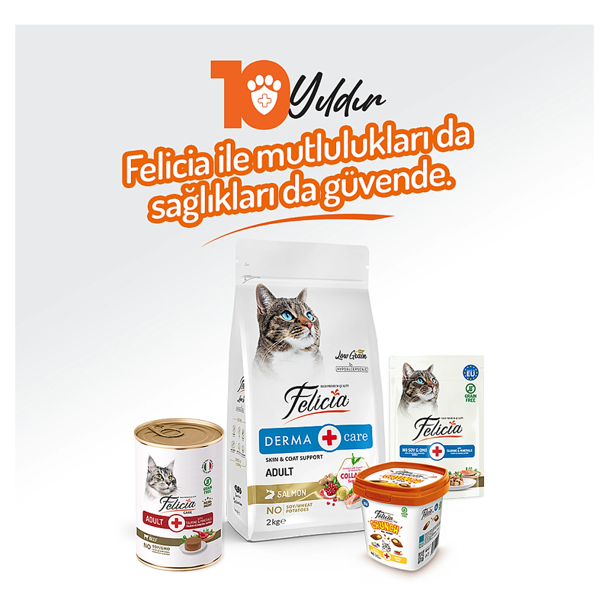 Felicia Biftekli Yetişkin Kedi Yaş Mama 400 G — Normal, 420 g — Görsel 6