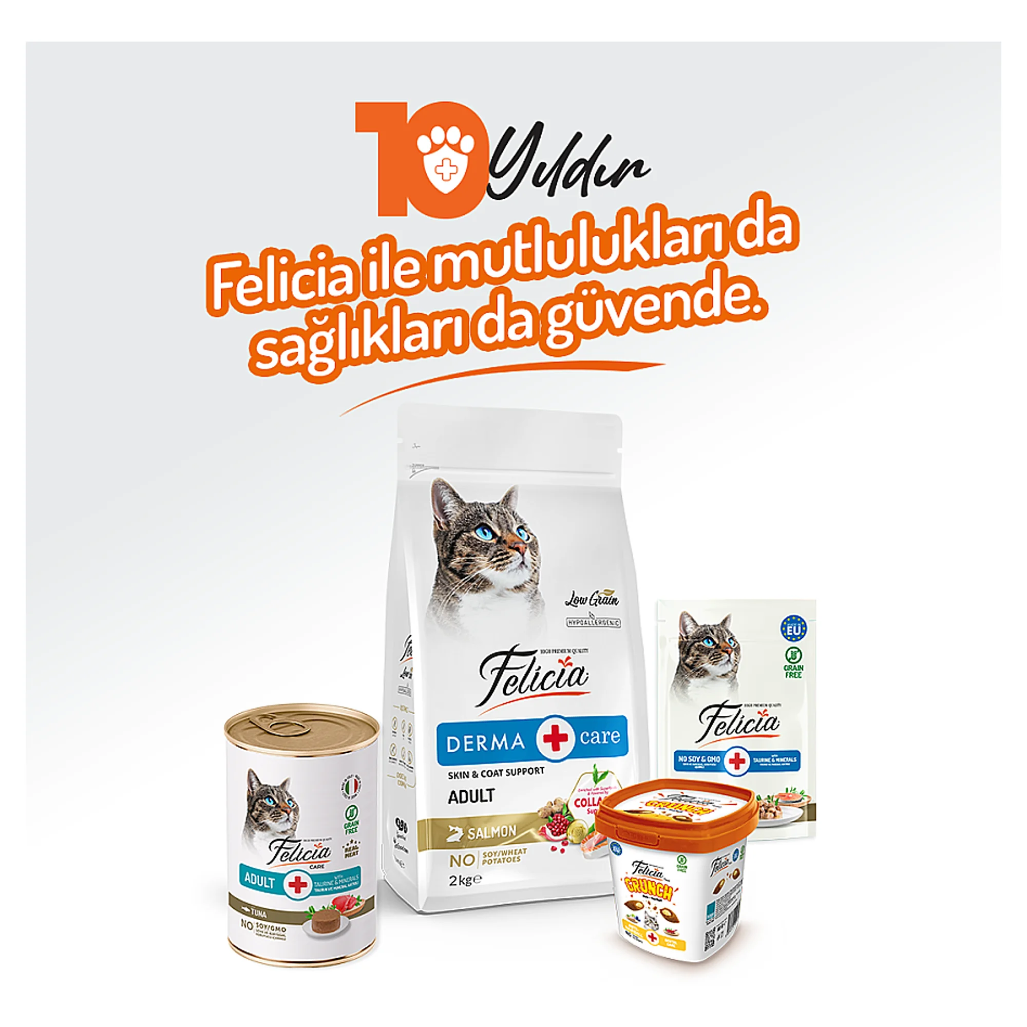 Felicia Ton Balıklı Yetişkin Kedi Yaş Mama 400 G — Normal, 420 g — Görsel 6