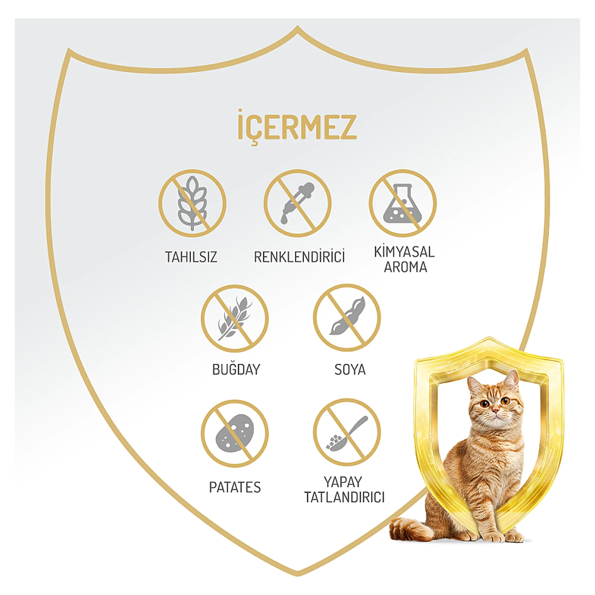 Felicia Somon Kısırlaştırılmış Yetişkin Kedi Yaş Mama 400 G — 420 g — Görsel 5