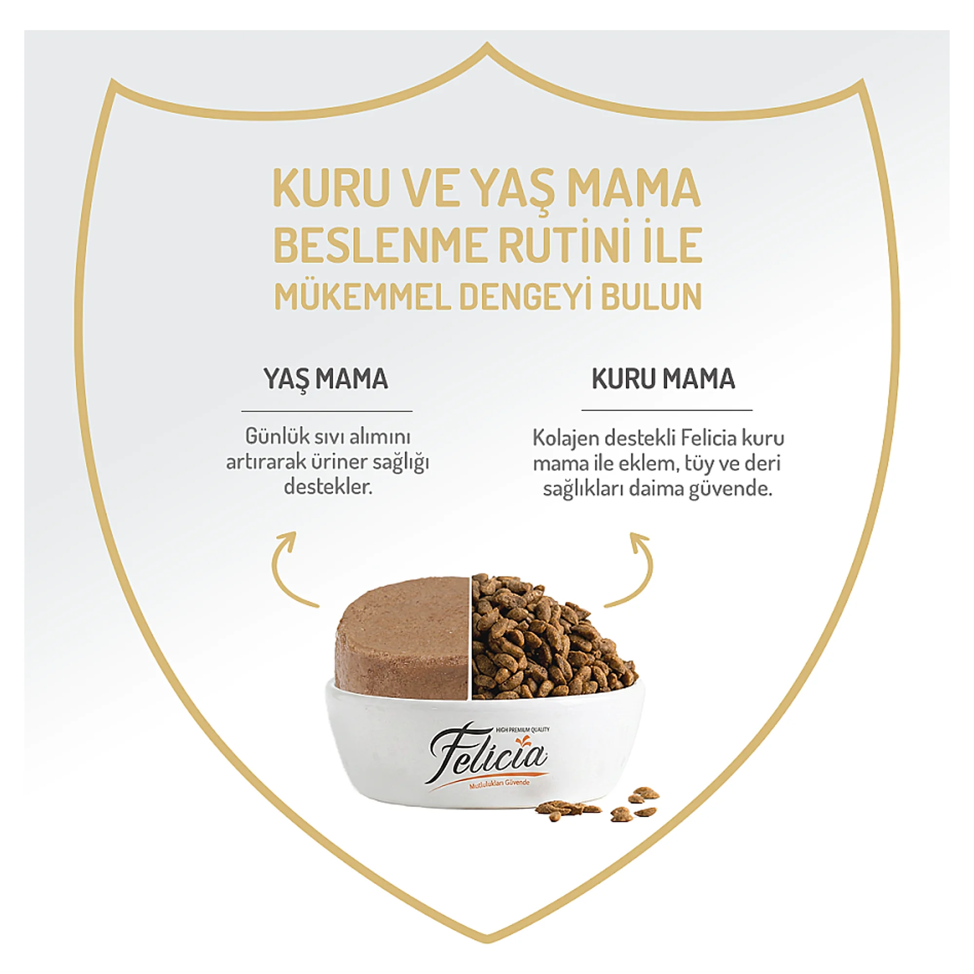 Felicia Biftek Yetişkin Köpek Yaş Mama 400 G — Normal, 420 g — Görsel 3