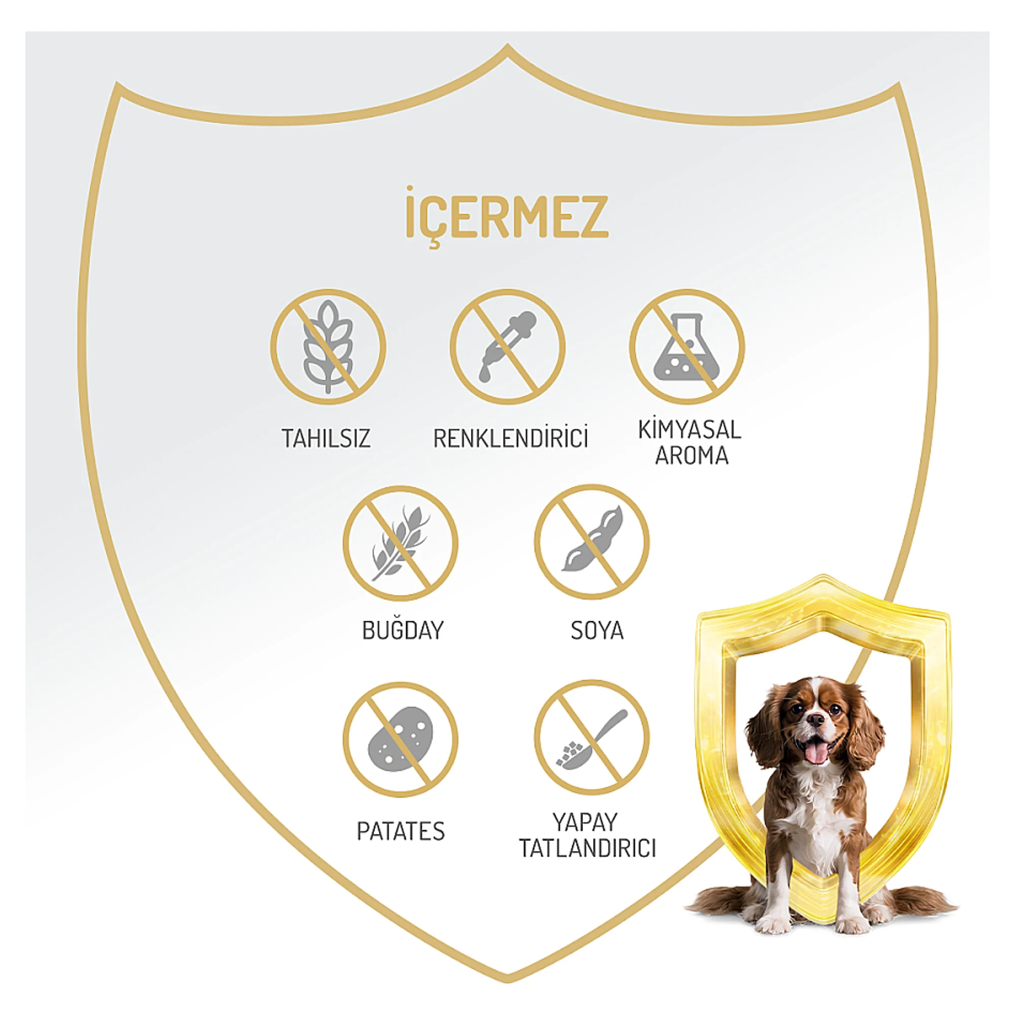 Felicia Biftek Yetişkin Köpek Yaş Mama 400 G — Normal, 420 g — Görsel 4