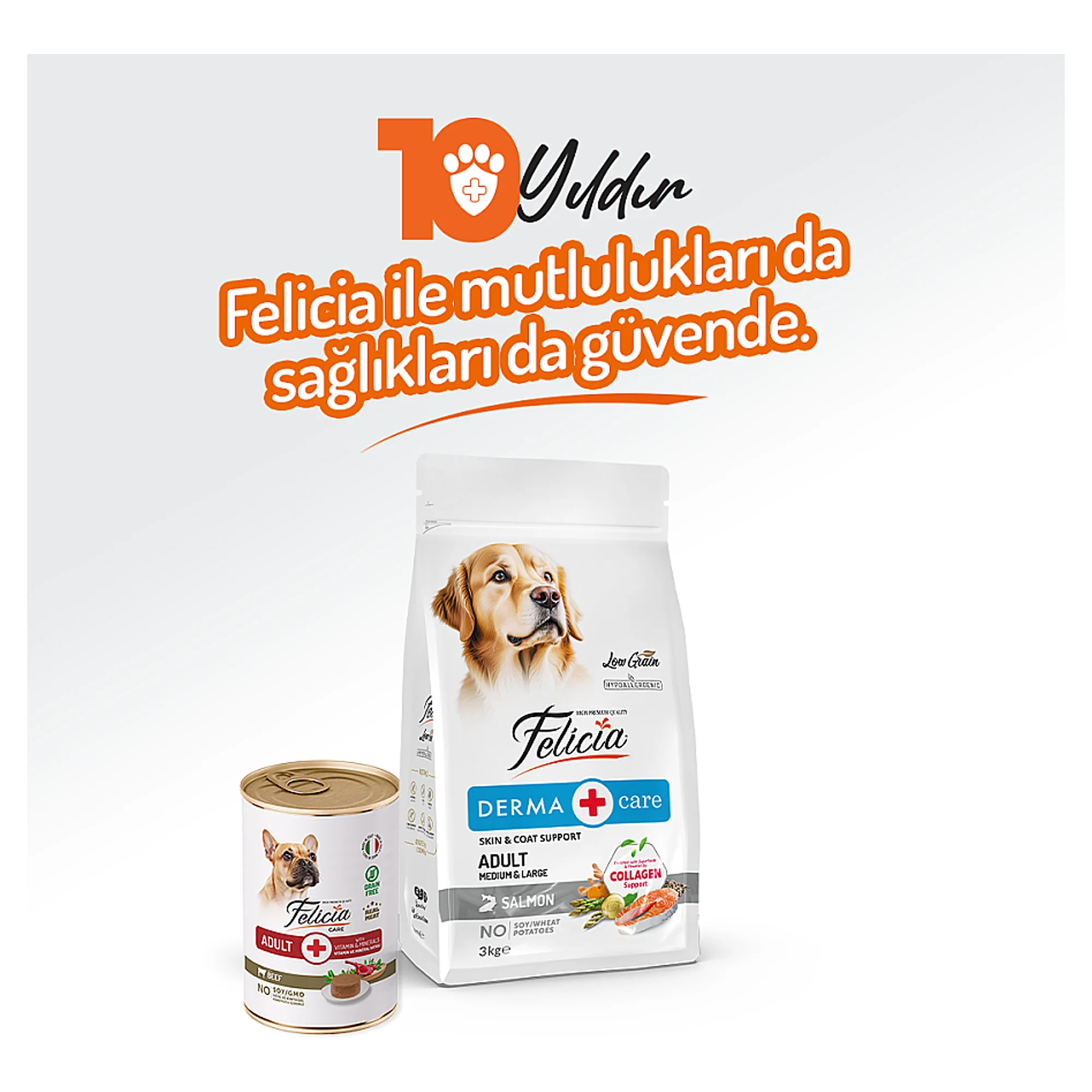 Felicia Biftek Yetişkin Köpek Yaş Mama 400 G — Normal, 420 g — Görsel 6