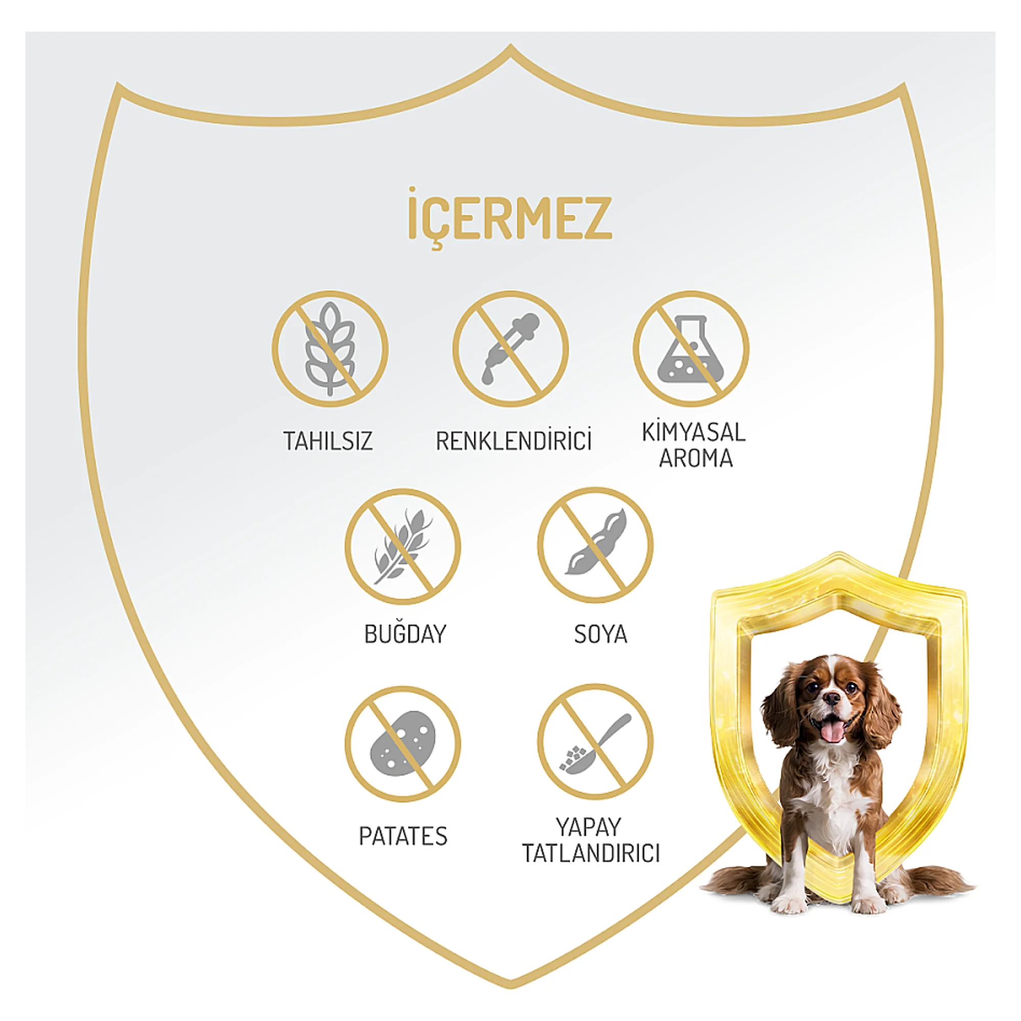 Felicia Tahılsız Tavuklu Yetişkin Köpek Yaş Mama 400 G — Normal, 420 g — Görsel 4