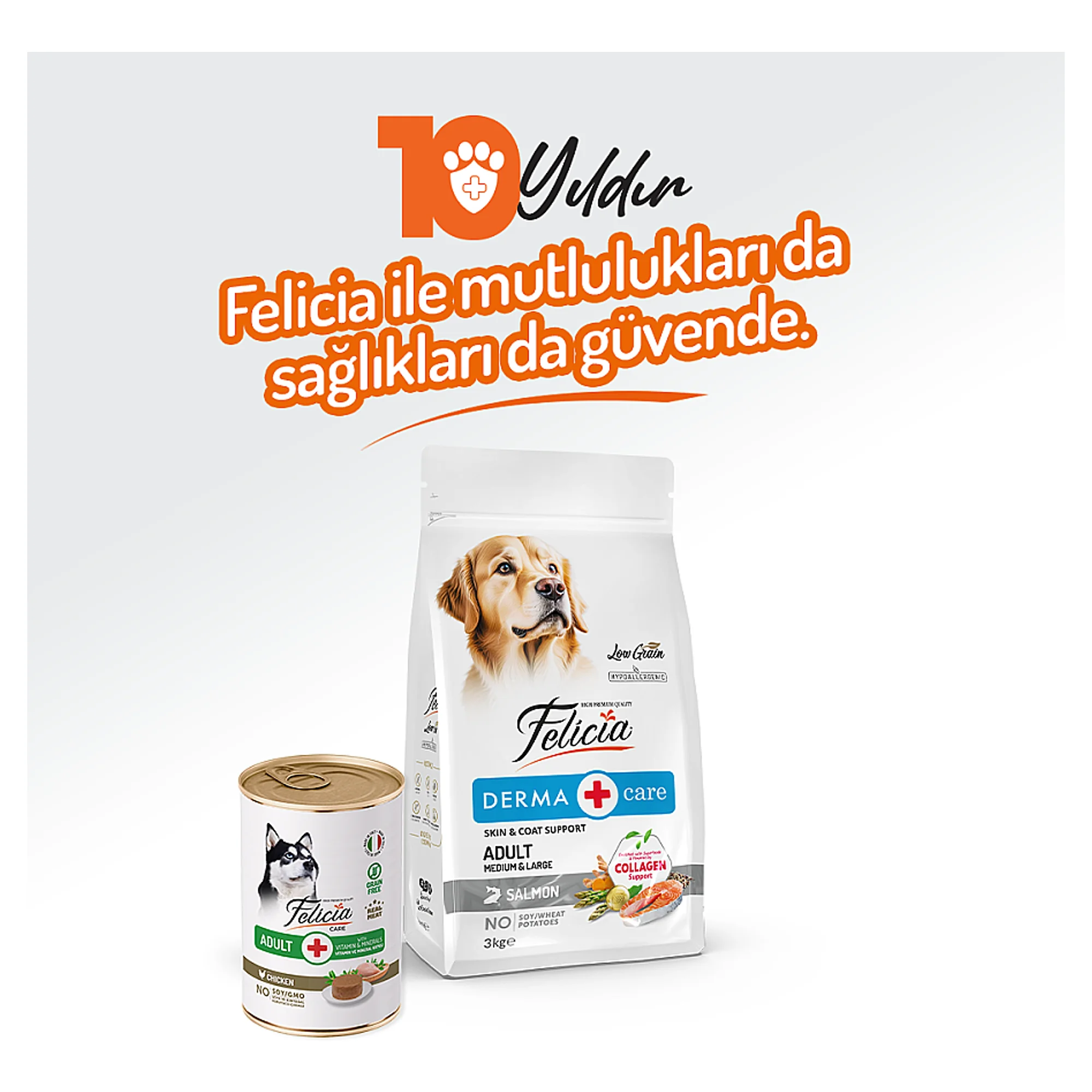 Felicia Tahılsız Tavuklu Yetişkin Köpek Yaş Mama 400 G — Normal, 420 g — Görsel 6