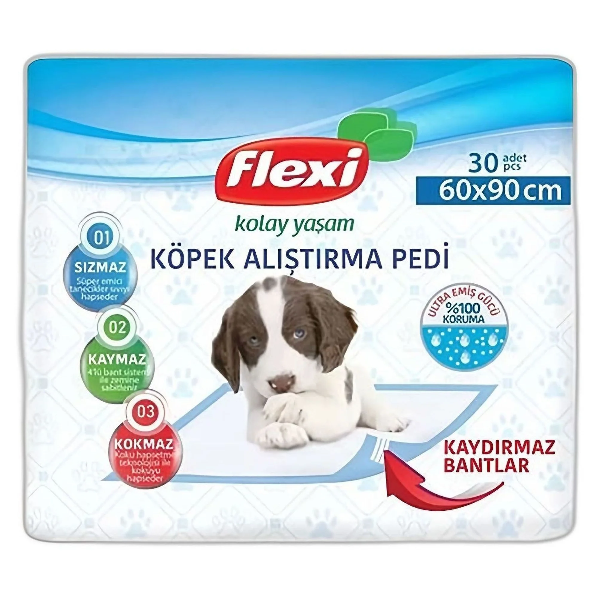 Flexi Flexi Köpek Alıştırma Pedi 60x90 CM
