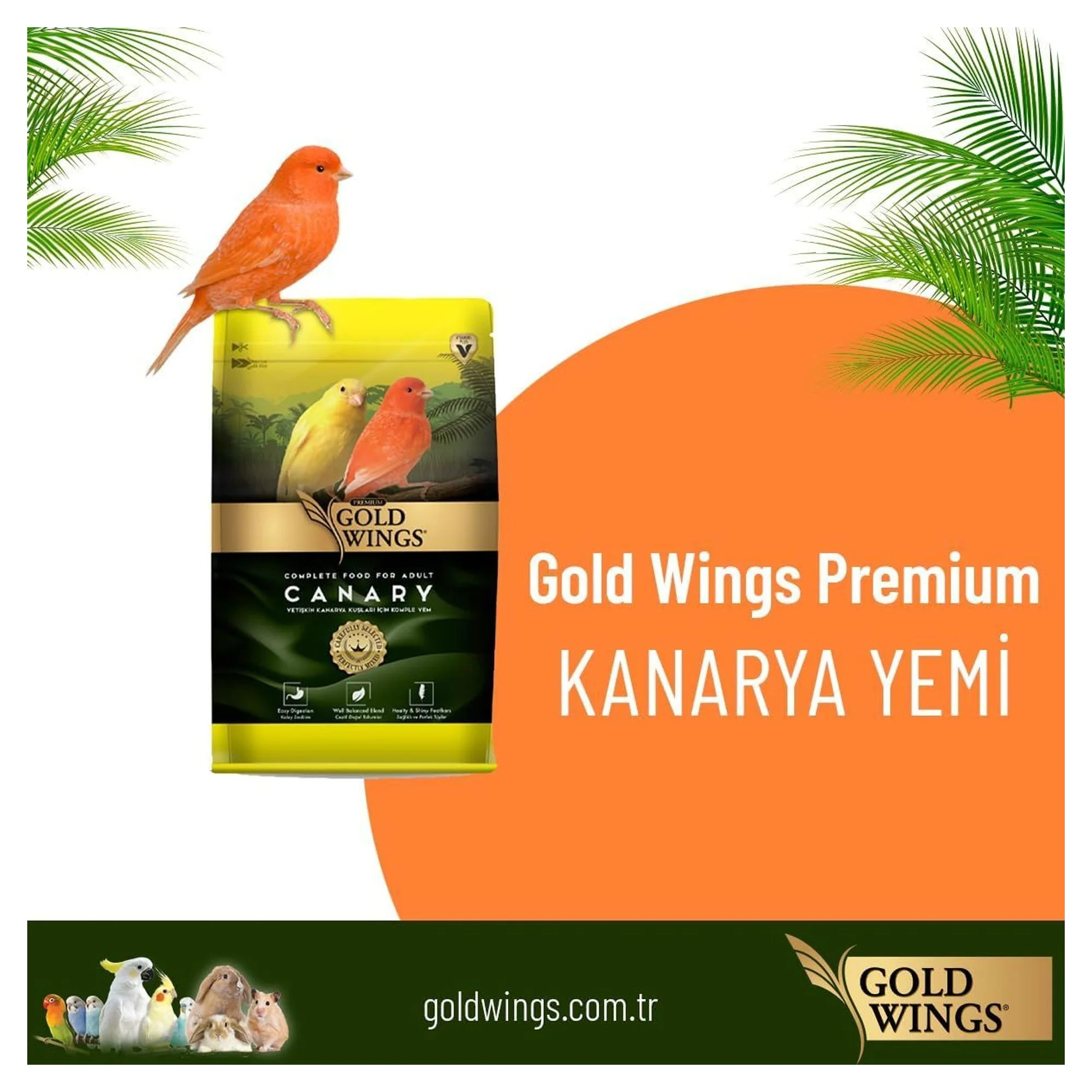 Gold Wings Premium Kanarya Yemi 1 KG — Kanarya Yemleri, 1 kg — Görsel 3