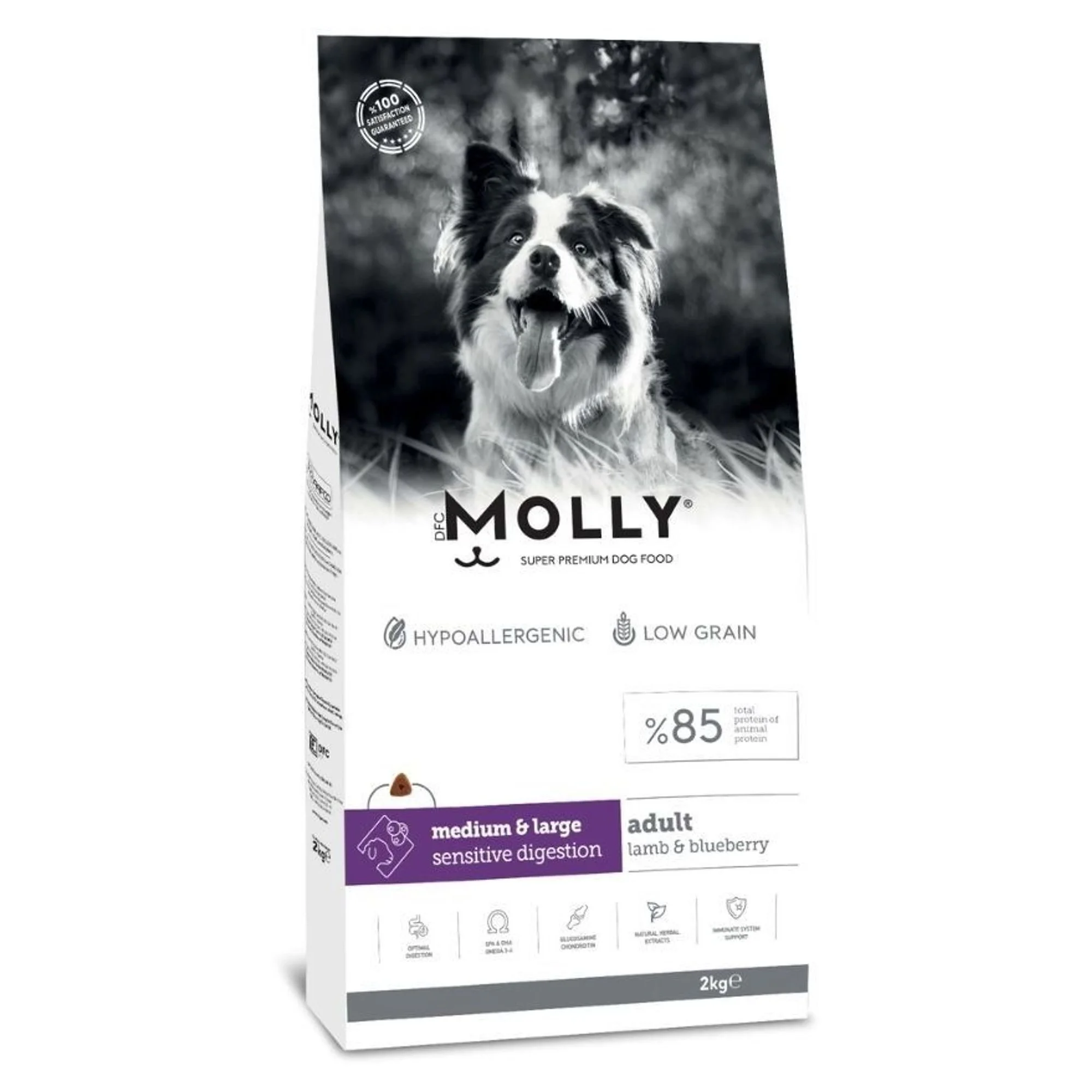 Molly Hipoalerjenik Düşük Tahıllı Kuzu Etli ve Yaban Mersinli Büyük Irk Yetişkin Köpek Maması 2 KG