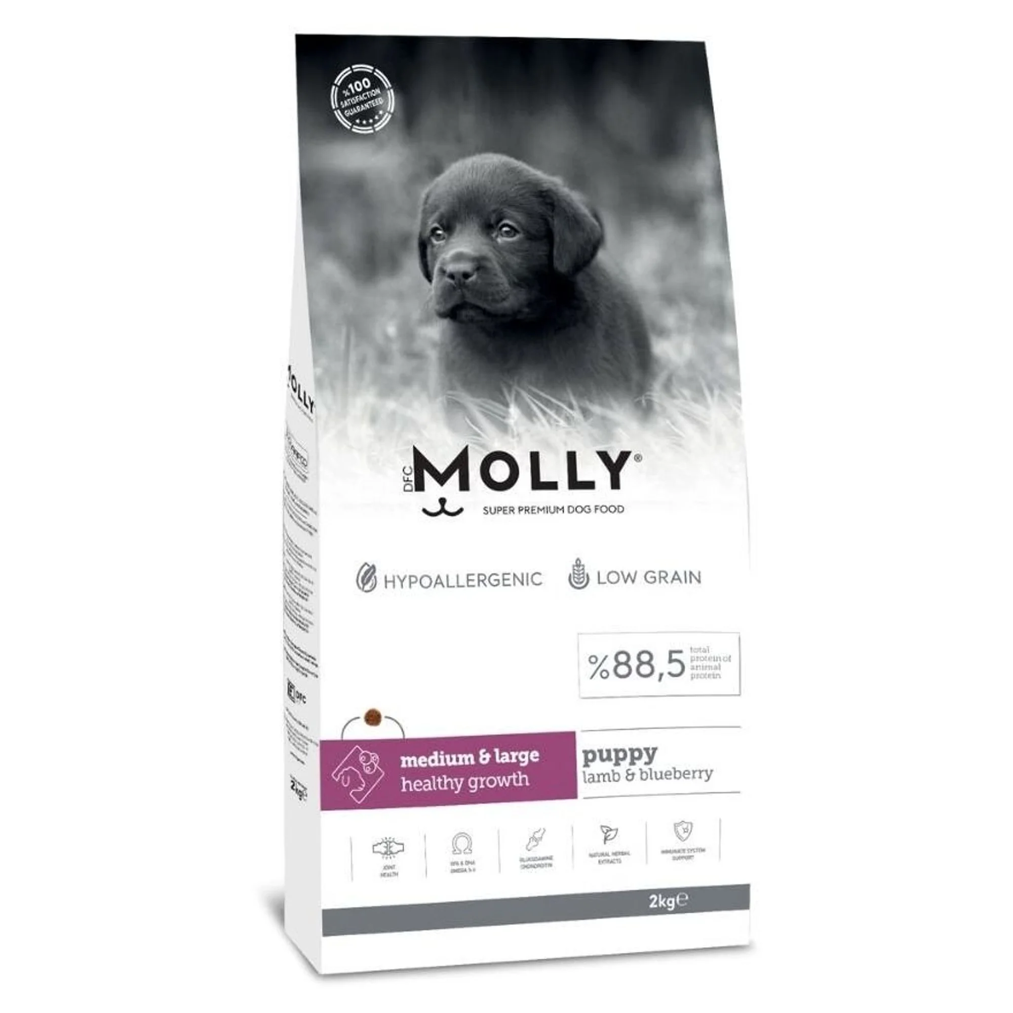 Molly Hipoalerjenik Düşük Tahıllı Kuzu Etli ve Yaban Mersinli Büyük Irk Yavru Köpek Maması 2 KG