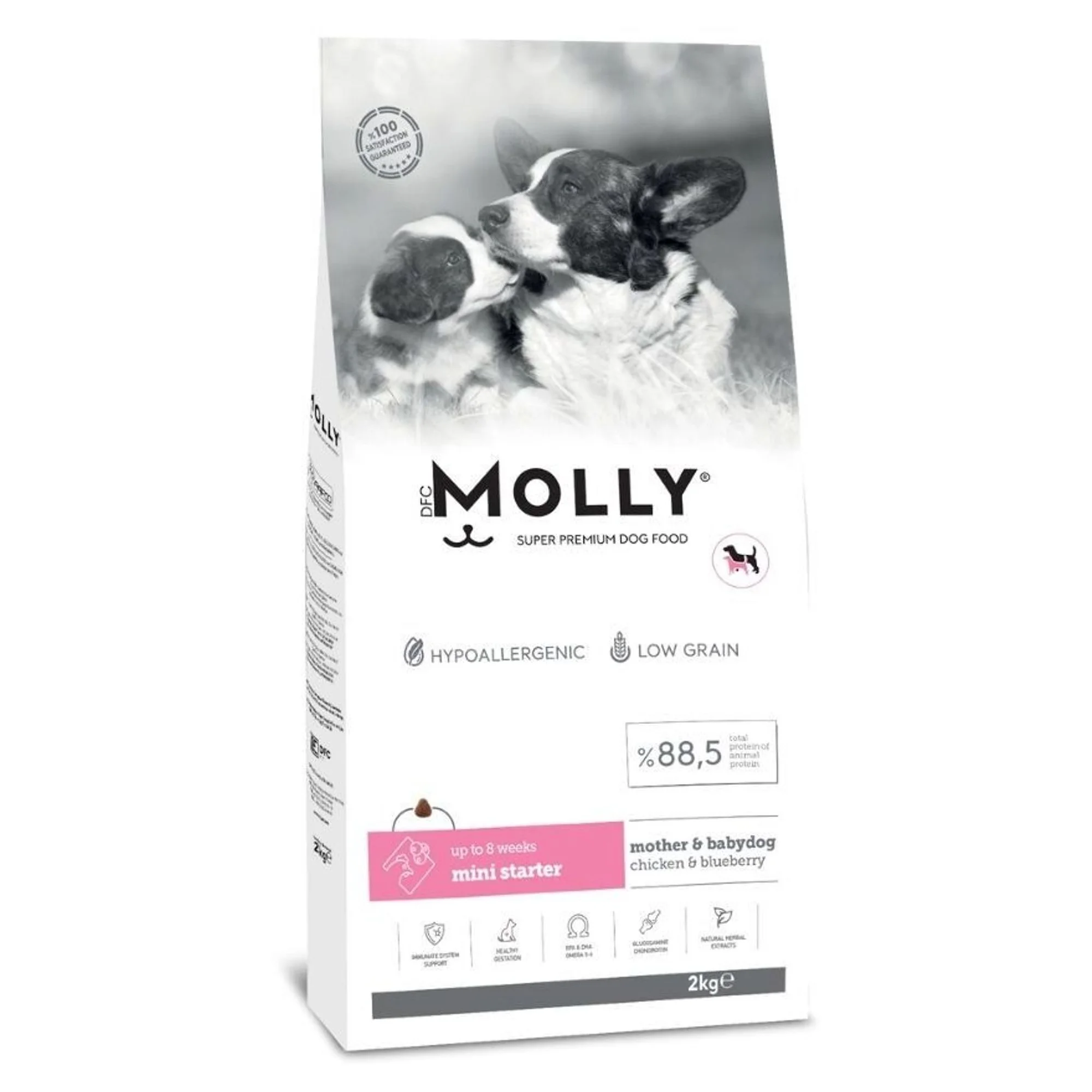 Molly Anne&Yavru Tavuklu ve Yaban Mersinli Köpek Maması 2 KG