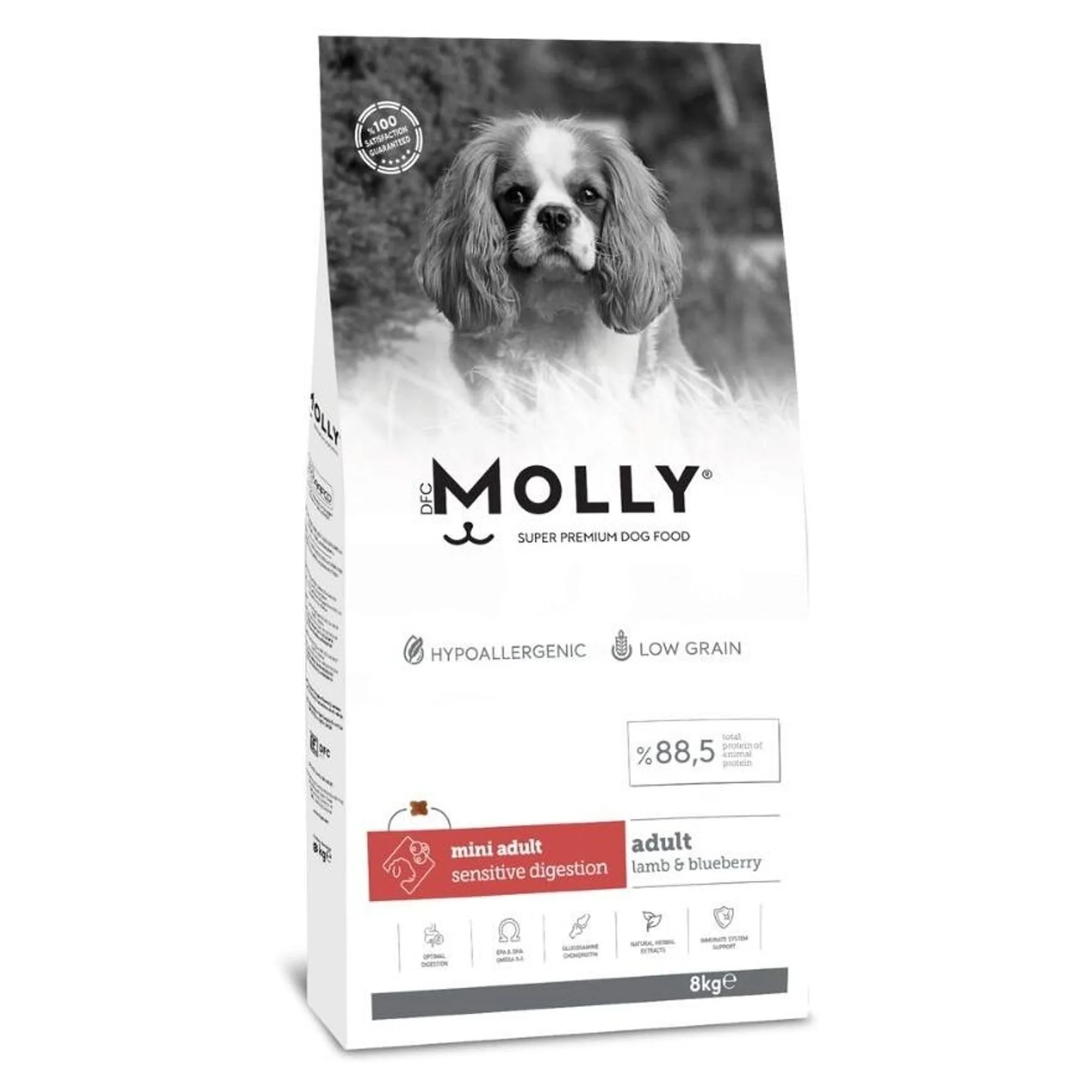 Molly Düşük Tahıllı Hipoalerjenik Kuzu Etli ve Yaban Mersinli Küçük Irk Yetişkin Köpek Maması 8 KG