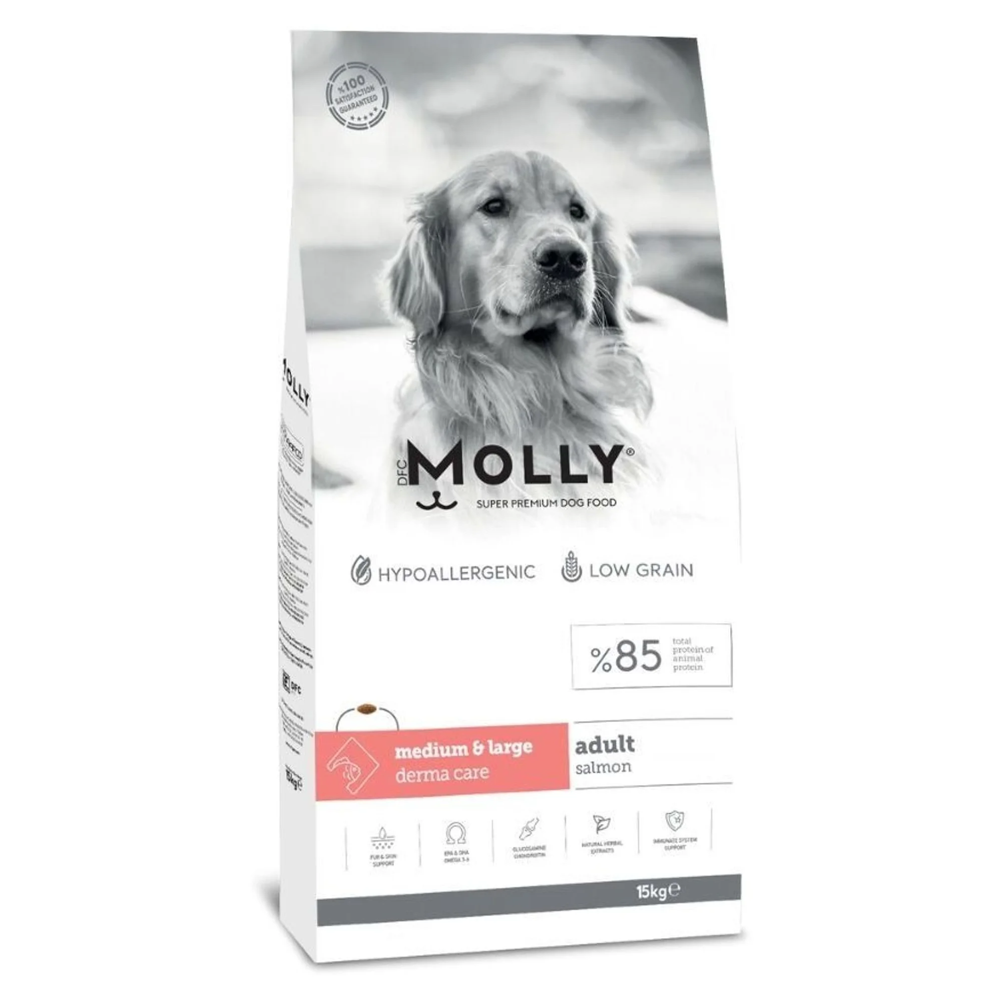 Molly Hipoalerjenik Derma Care Somonlu Büyük Irk Yetişkin Köpek Maması 15 KG