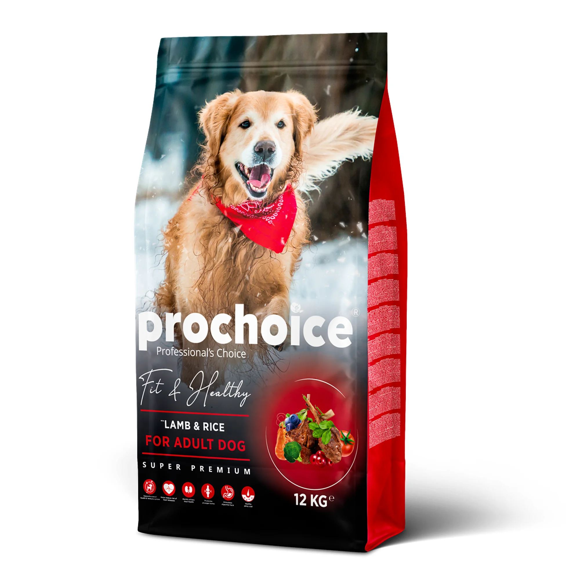 ProChoice ProChoice Fit&Healthy Pirinçli ve Kuzu Etli Yetişkin Köpek Maması 3 KG