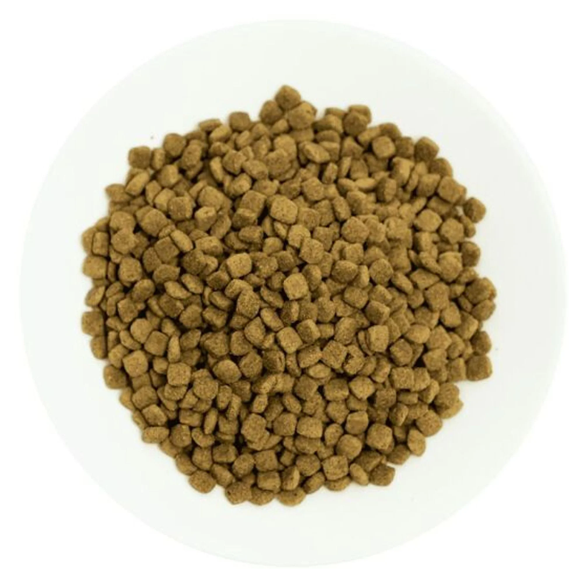 ProChoice ProChoice Pro34 Hipoalerjenik  Düşük Tahıllı Somonlu ve Pirinçli Yetişkin Kedi Maması 15 KG — Normal, 15 kg — Görsel 4
