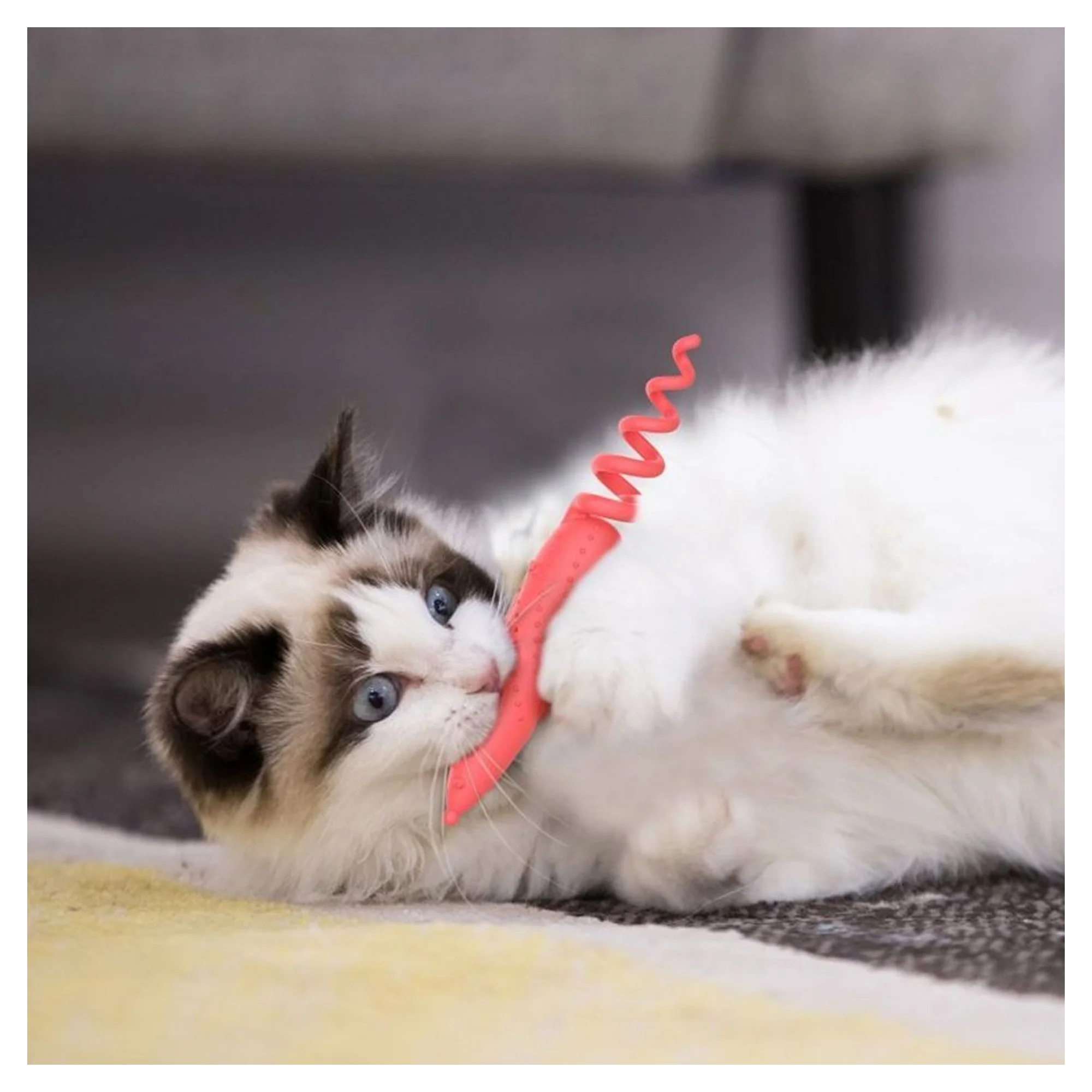 Gigwi Gigwi Catnipli Fare Model Turuncu Kedi Oyuncağı — Kedi Naneli Oyuncaklar (Catnip) — Görsel 4