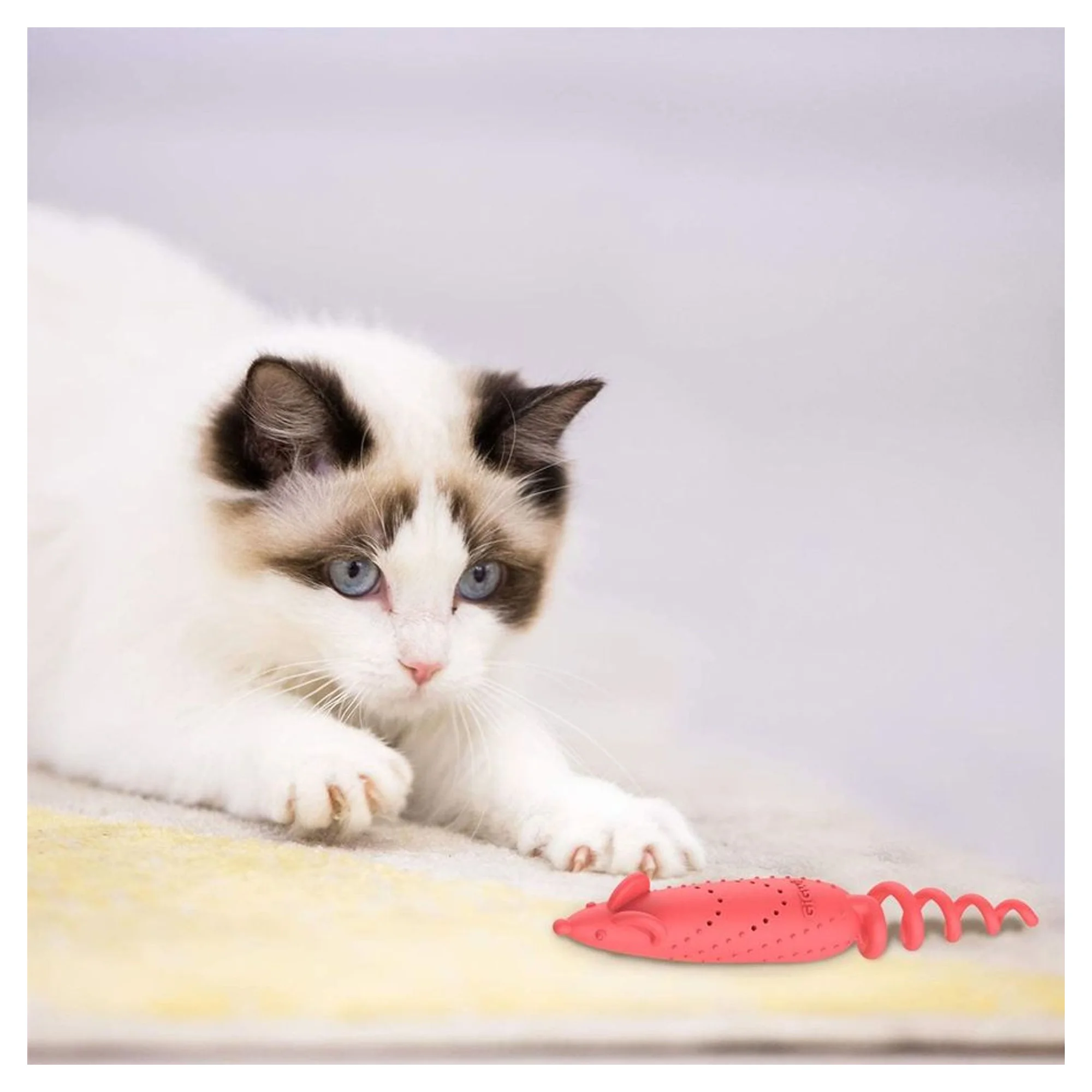 Gigwi Gigwi Catnipli Fare Model Turuncu Kedi Oyuncağı — Kedi Naneli Oyuncaklar (Catnip) — Görsel 6