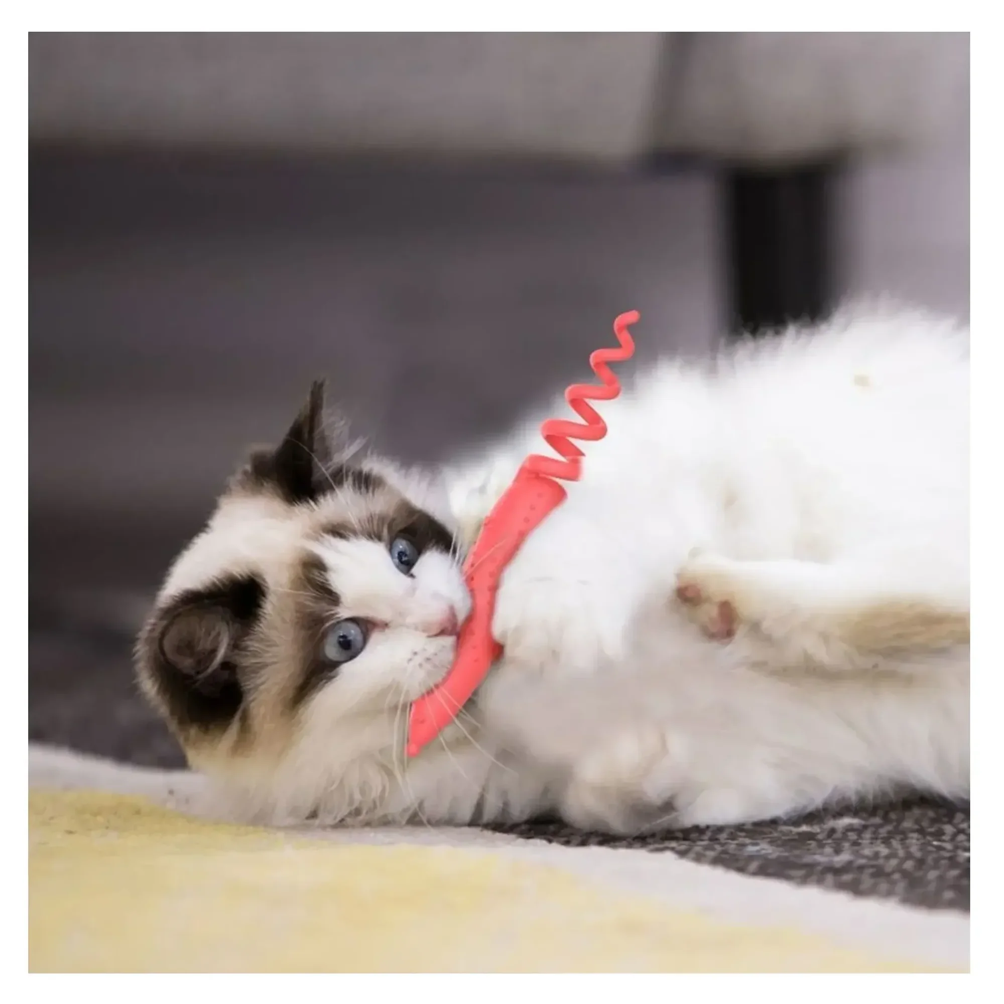 Gigwi Catnipli Yeşil Fare Kedi Oyuncağı — Kedi Naneli Oyuncaklar (Catnip) — Görsel 4