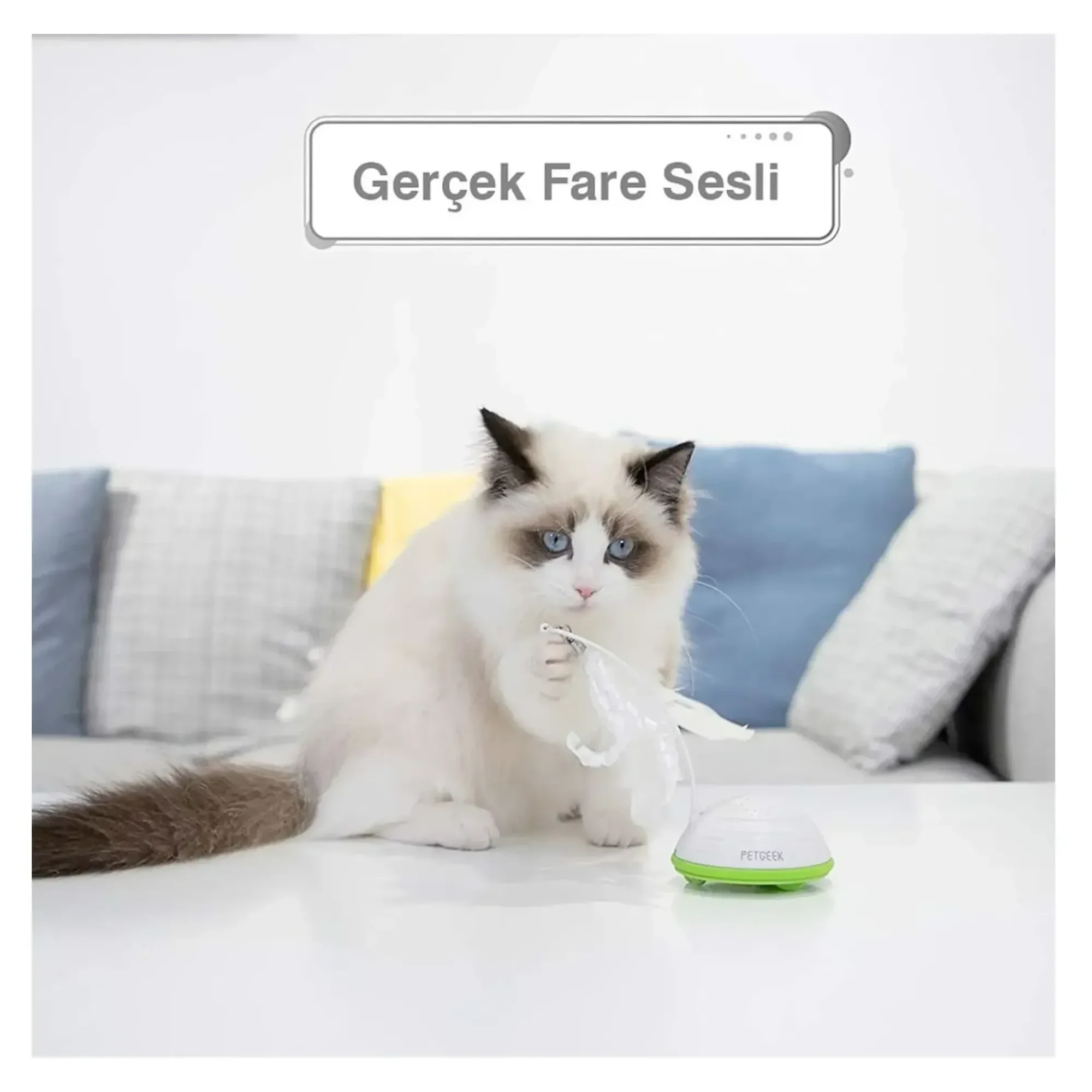 Gigwi Otomatik Kedi Olta Oyuncağı — Olta Oyuncakları — Görsel 4