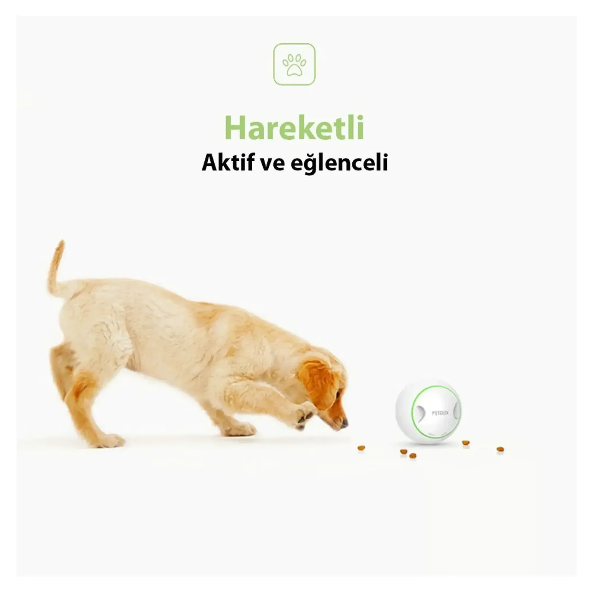 Gigwi Mama Saklamalı Plastik ve Kauçuk Köpek Oyuncağı — Plastik ve Kauçuk Oyuncaklar — Görsel 3