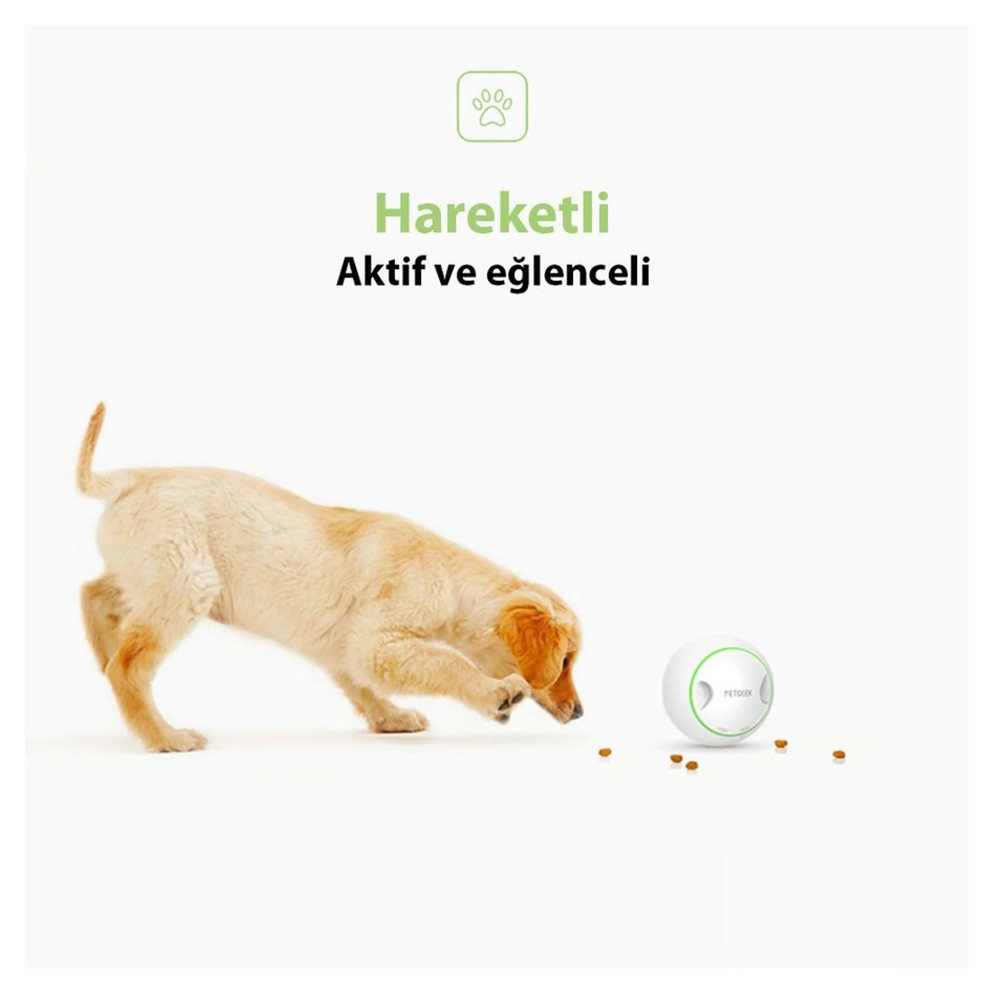 Gigwi Gigwi Mama Saklamalı Plastik ve Kauçuk Köpek Oyuncağı — Plastik ve Kauçuk Oyuncaklar — Görsel 3