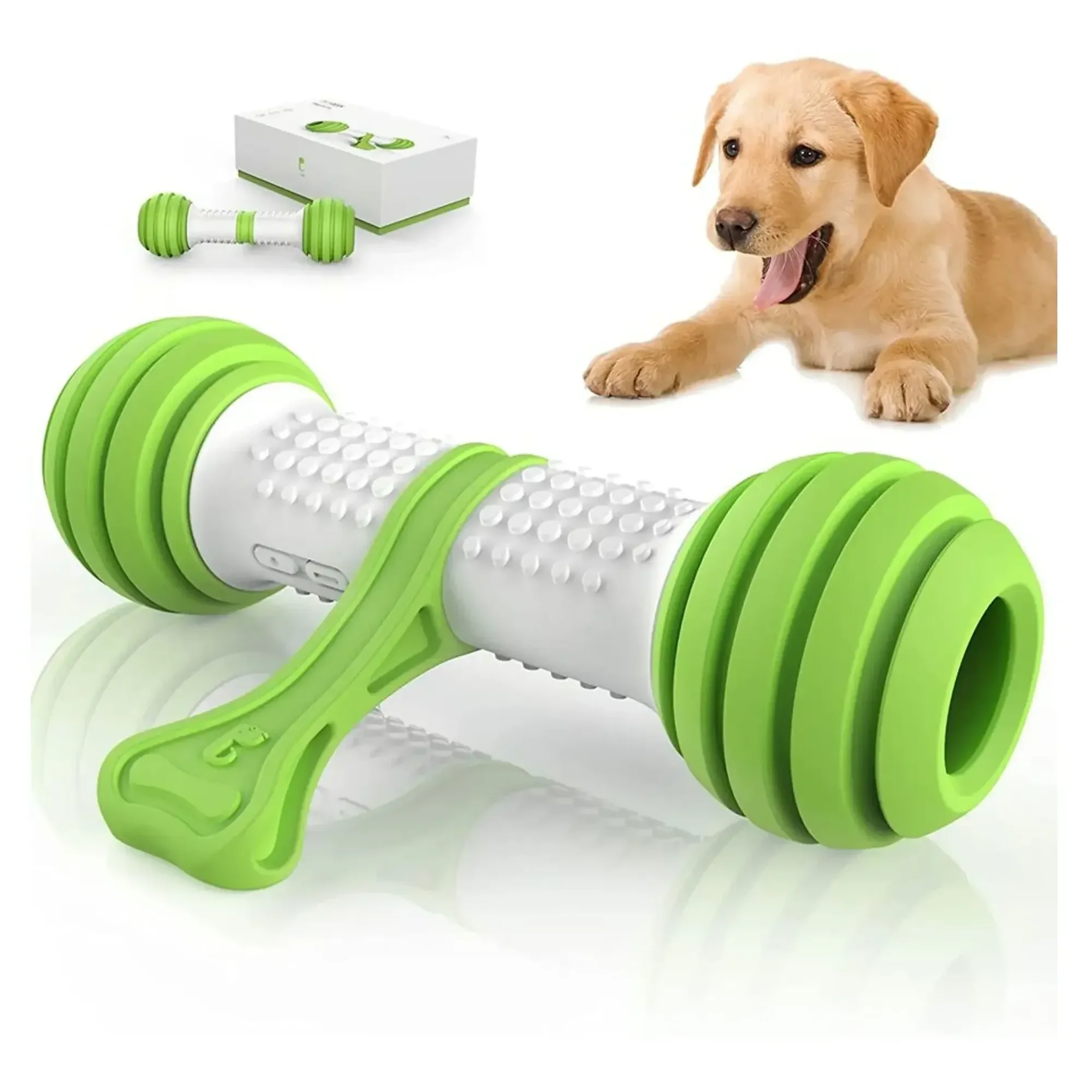 Gigwi Plastik Oyun Kemiği Köpek Oyuncağı