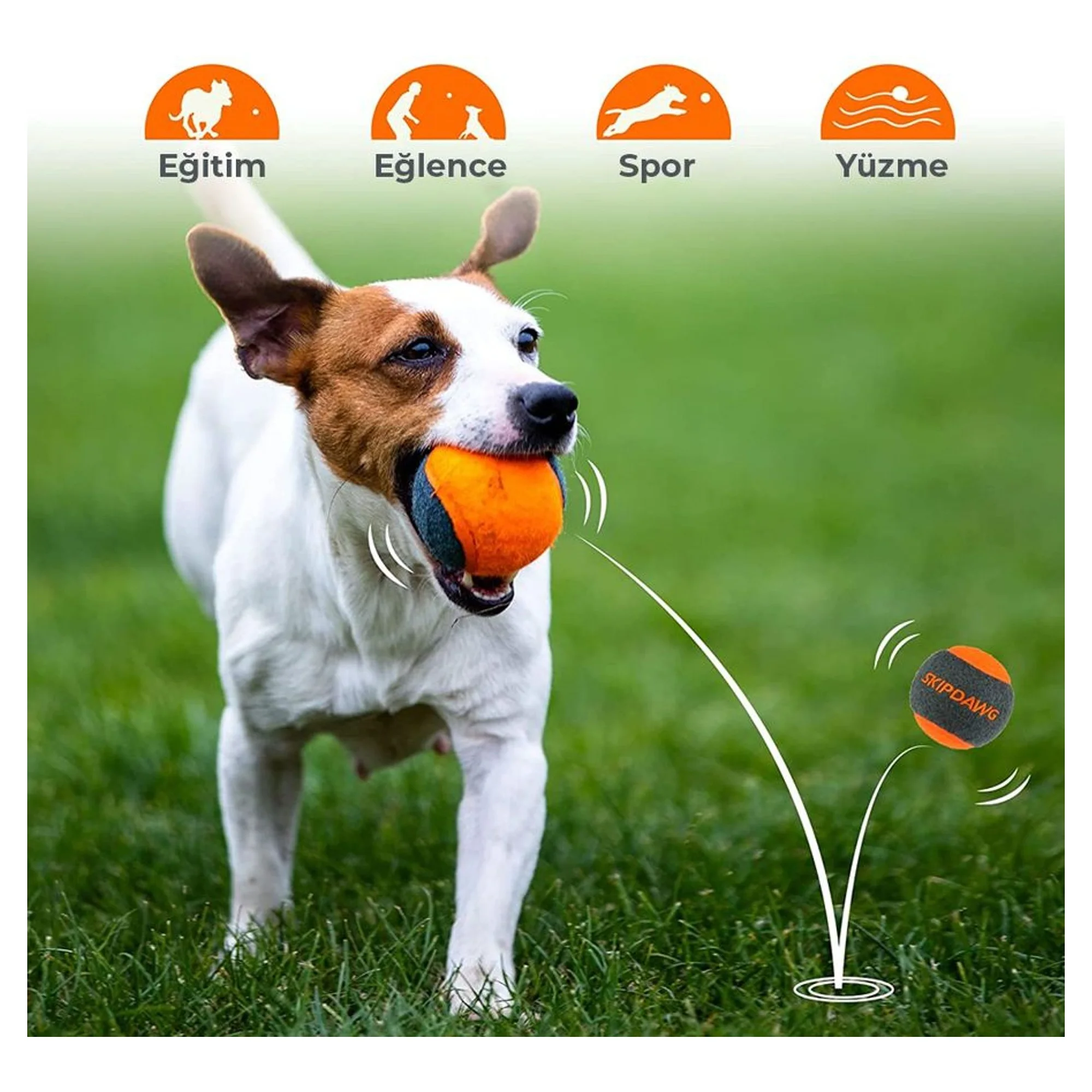 Gigwi Gigwi Skipdawg Tenis Topu 4'lü Köpek Oyuncağı — Toplar — Görsel 2