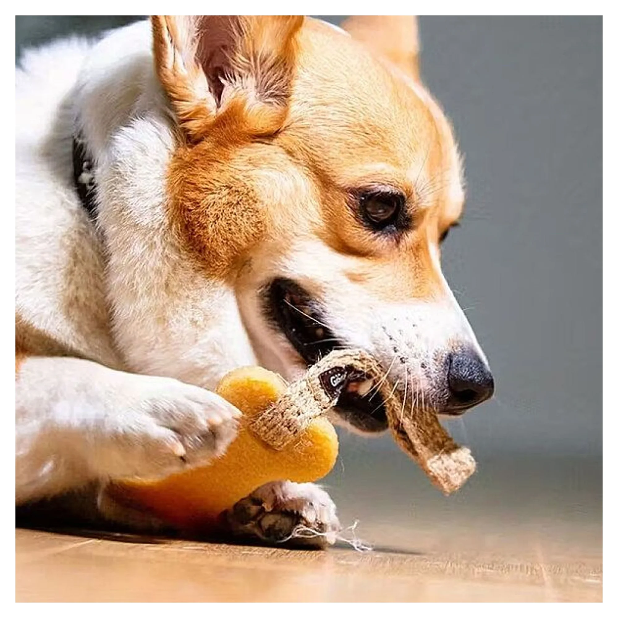 Gigwi Gum Gum Peynir Köpek Oyuncağı — Plastik ve Kauçuk Oyuncaklar — Görsel 3