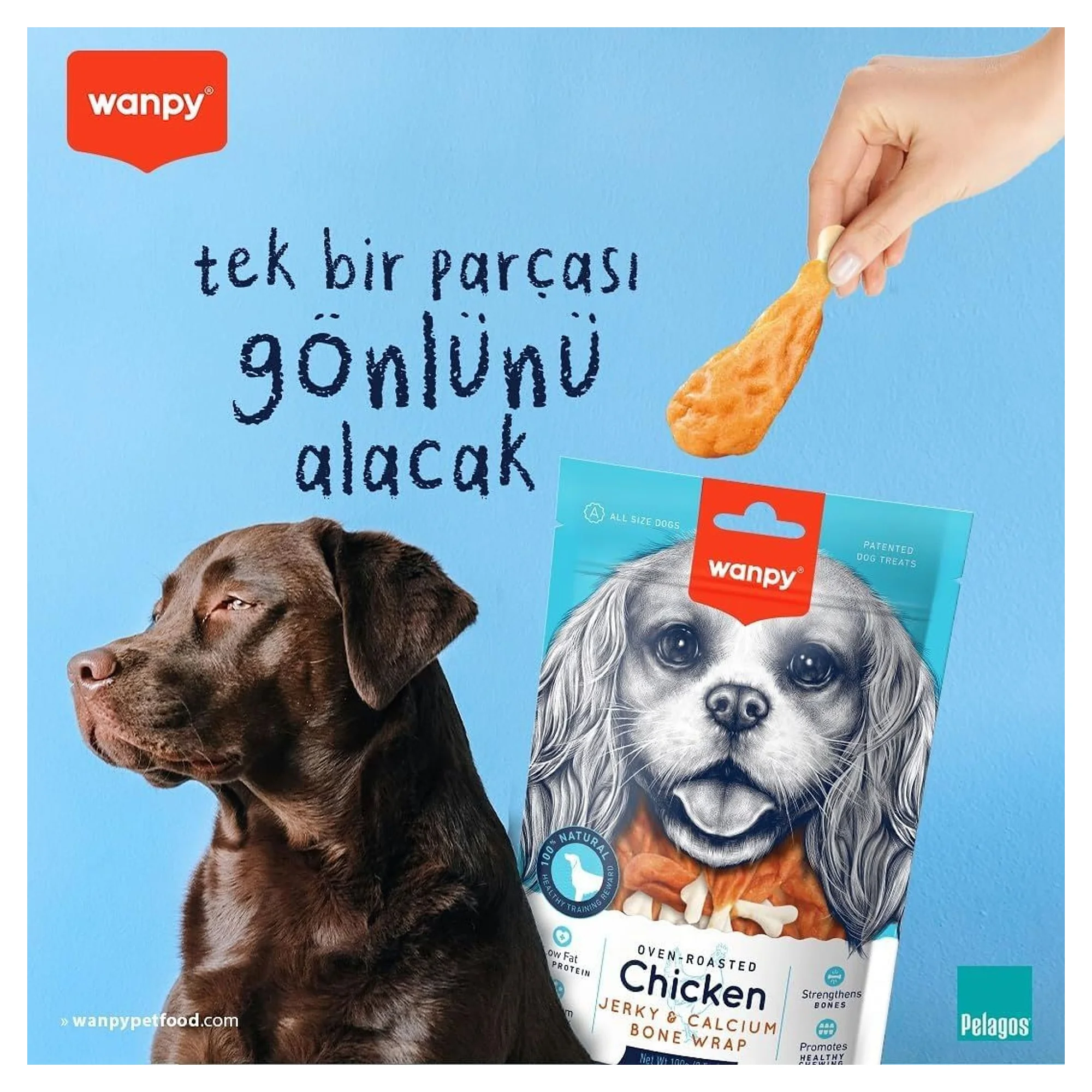 Wanpy Kalsiyumlu Gerçek Tavuk Köpek Ödülü 100 G — Ödül Maması, 110 g — Görsel 6