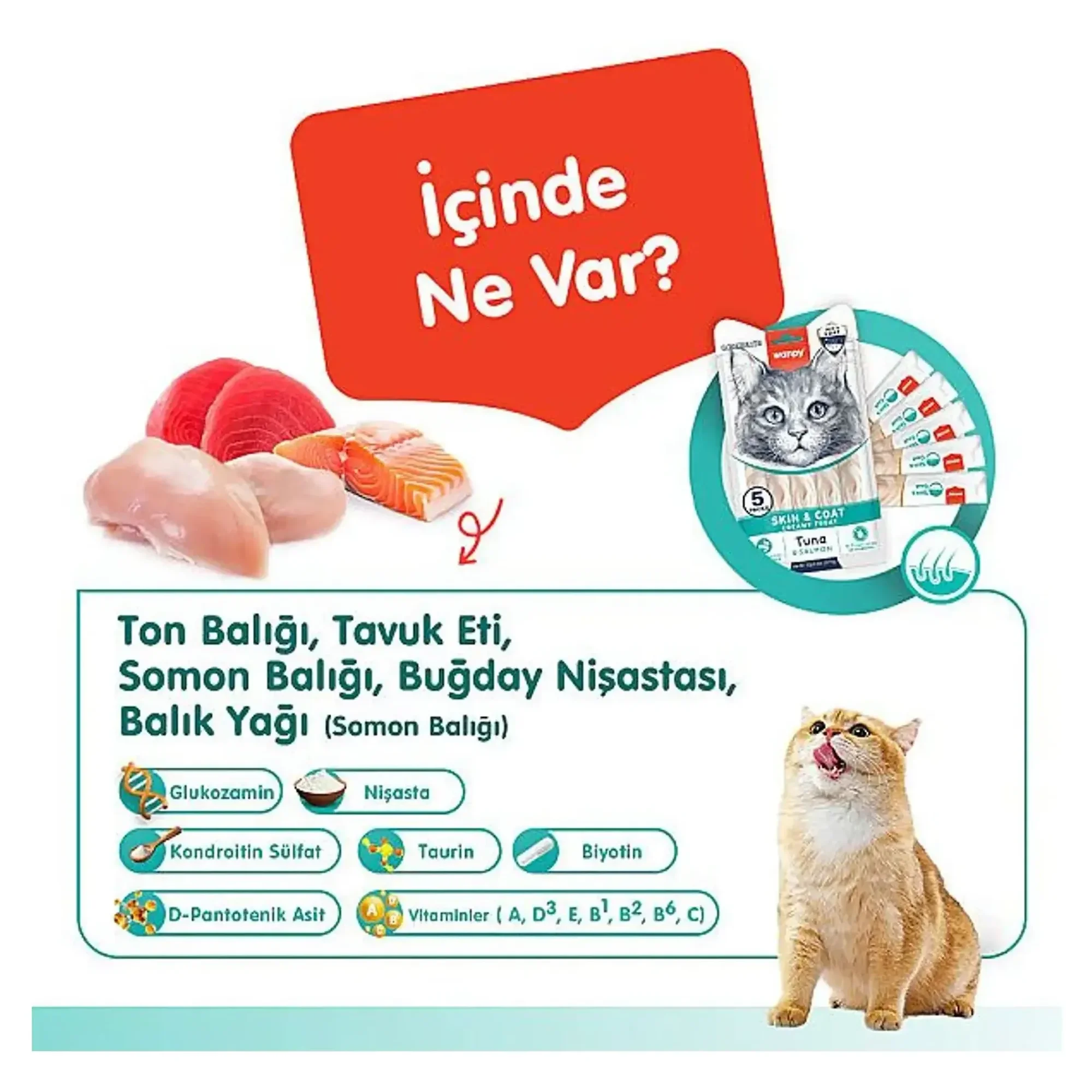 Wanpy Wanpy Skin&Coat Ton Balığı&Somonlu Kedi Ödülü 5x14 G — Ödül Maması — Görsel 2