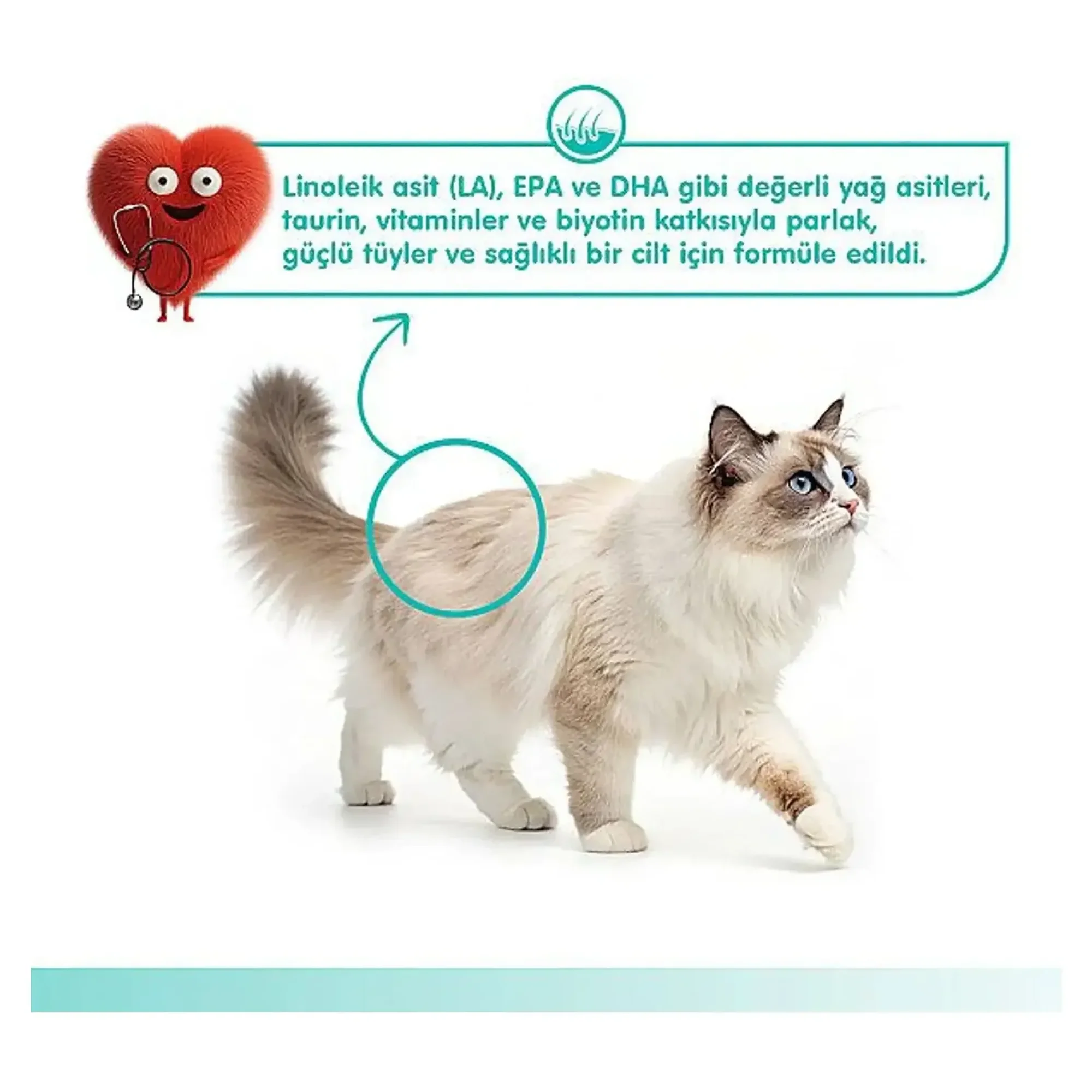 Wanpy Wanpy Skin&Coat Ton Balığı&Somonlu Kedi Ödülü 5x14 G — Ödül Maması — Görsel 4